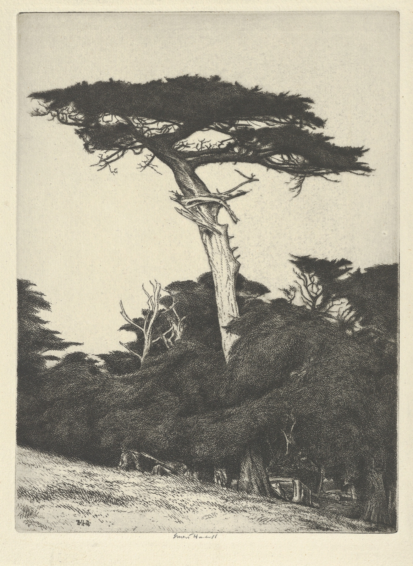 Ernest Haskell
