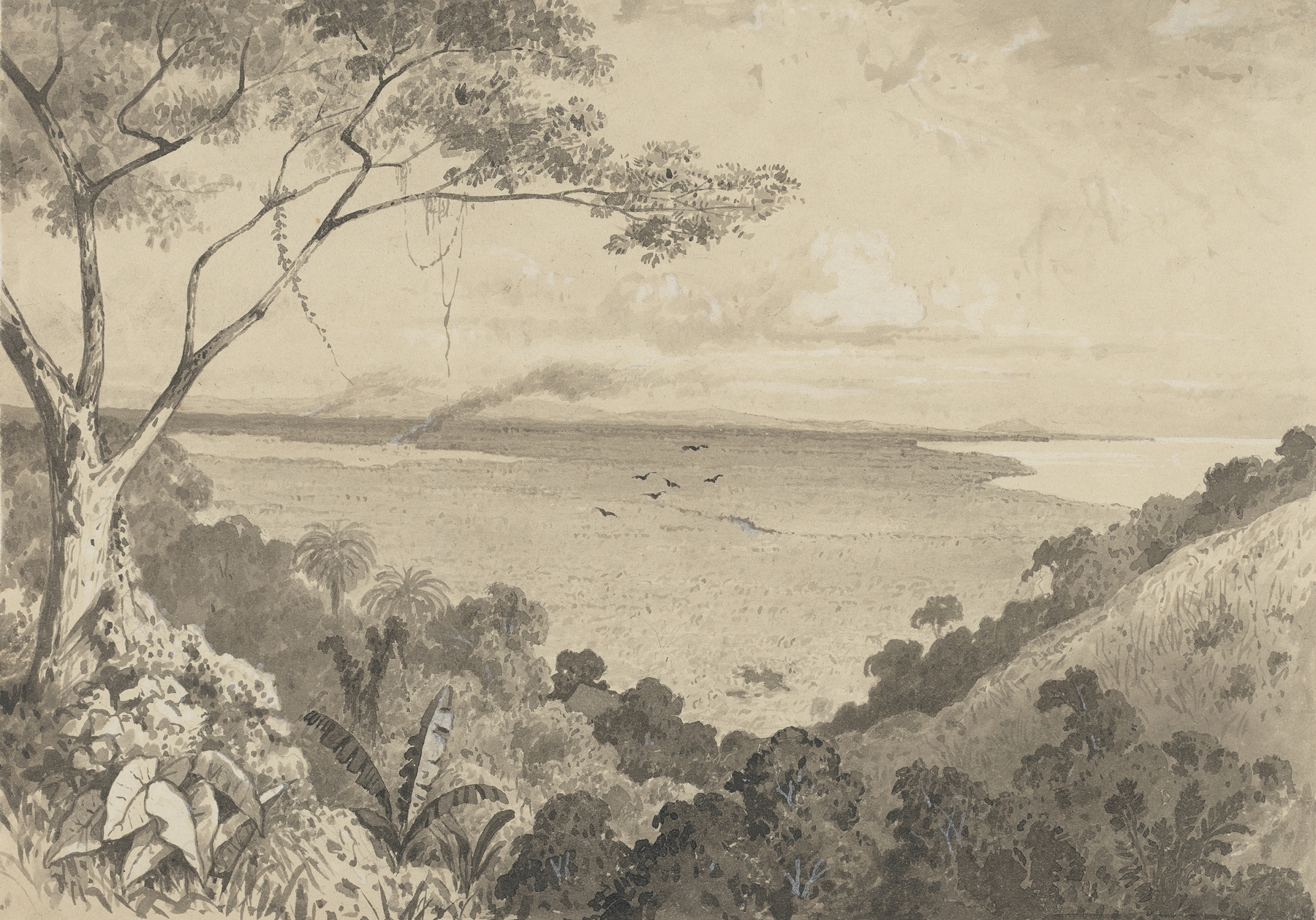 Landscape view from Laventille Hill, oil painting by Michel Jean Cazabon