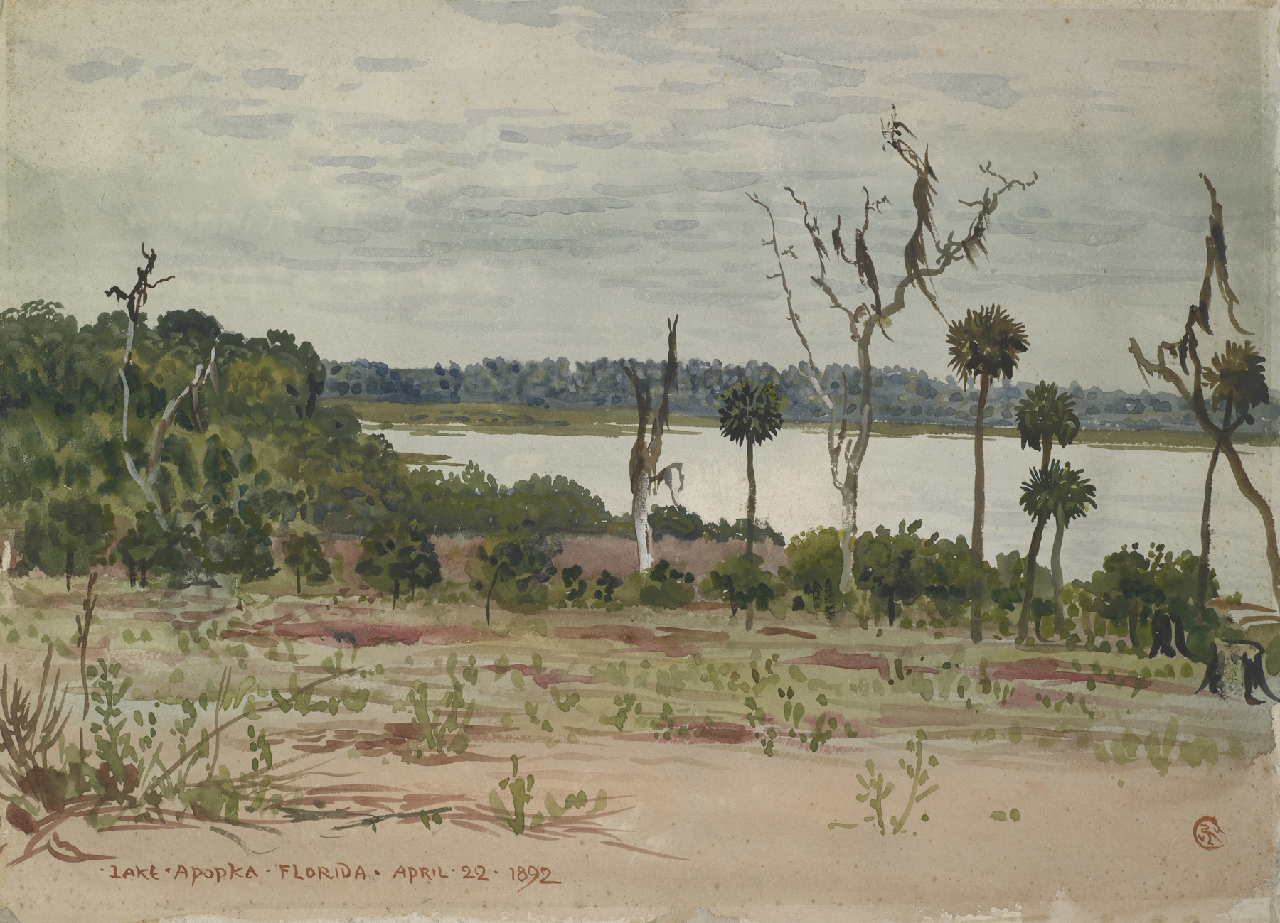Lake Apopka, Florida, watercolor on paper by Walter Crane