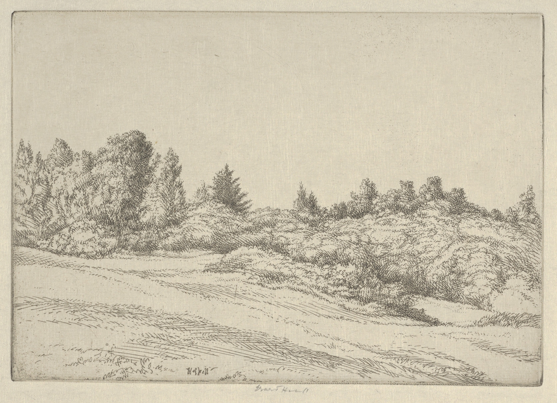 Small Point Field, by Ernest Haskell, public domain