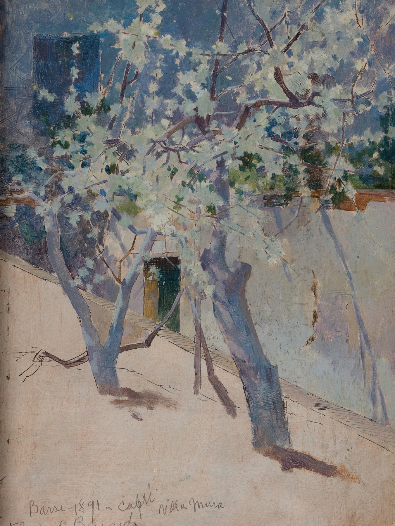 Tree, Capri by George Randolph Barse, impressionism, depicting a gnarled tree with dappled light and shadow.