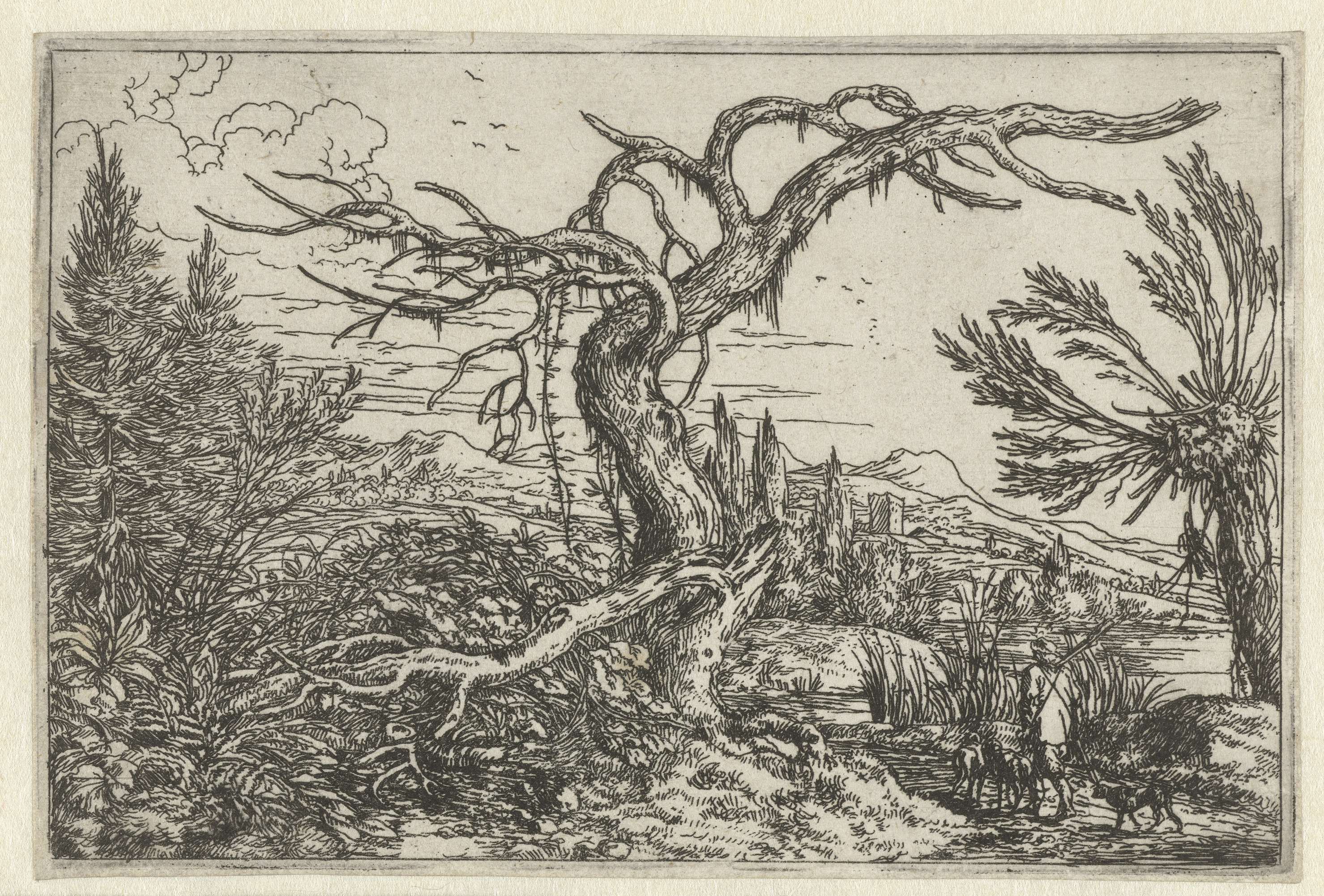 Landschap met de dorre boom, etching by Jonas Umbach depicting a barren tree in a landscape.