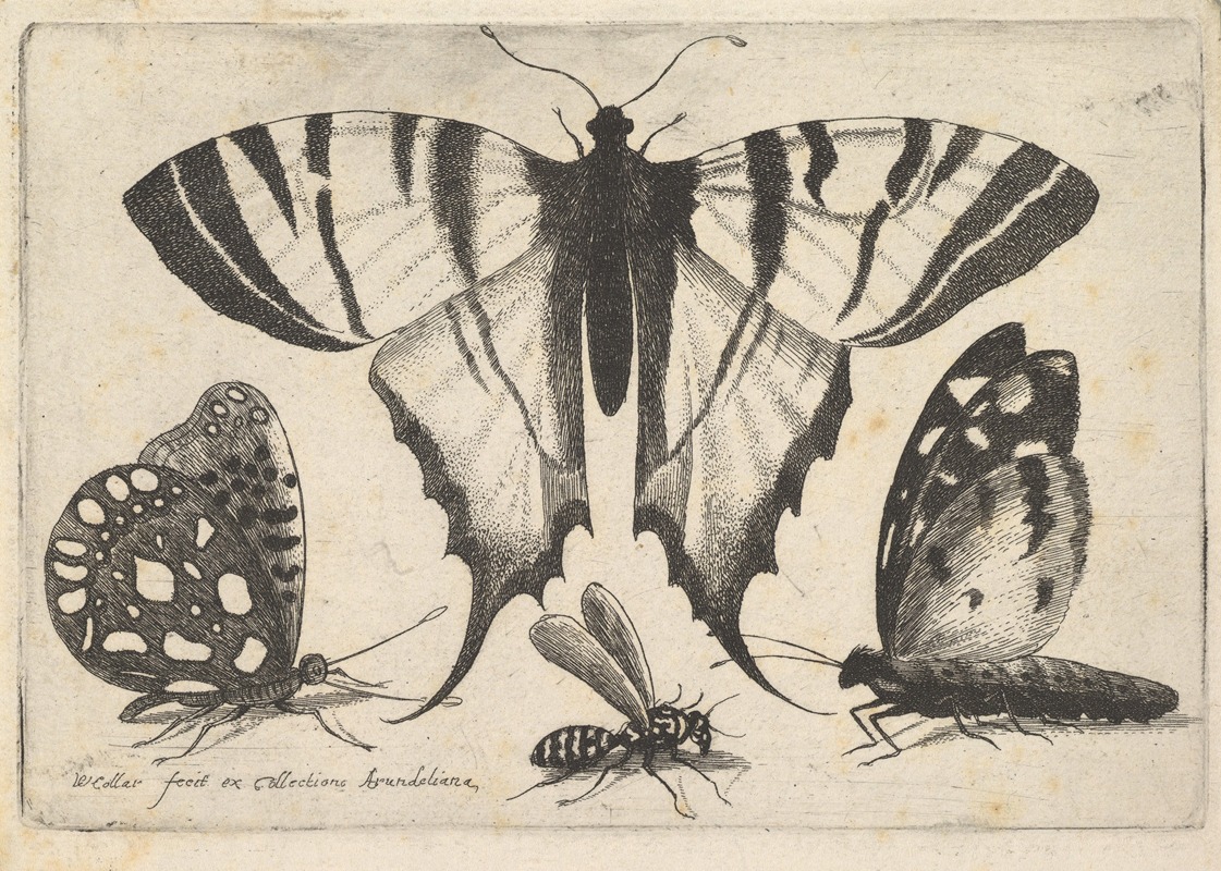 This artwork features three butterflies and a wasp intricately depicted in a natural setting.
