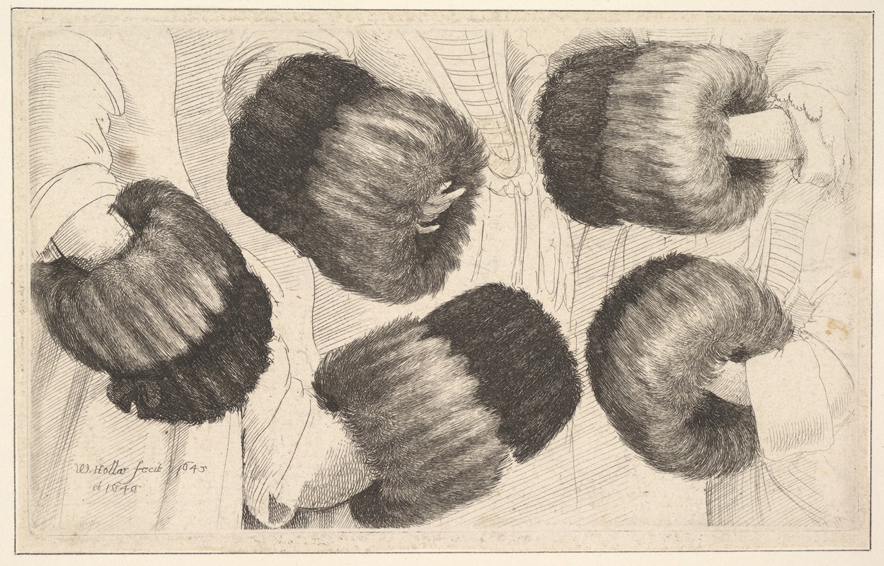 A detailed etching showing a decorative muff from five different angles.