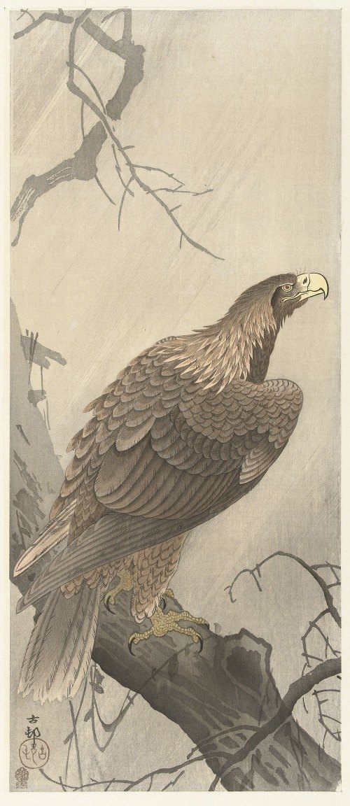 A striking depiction of an eagle perched on a tree branch.