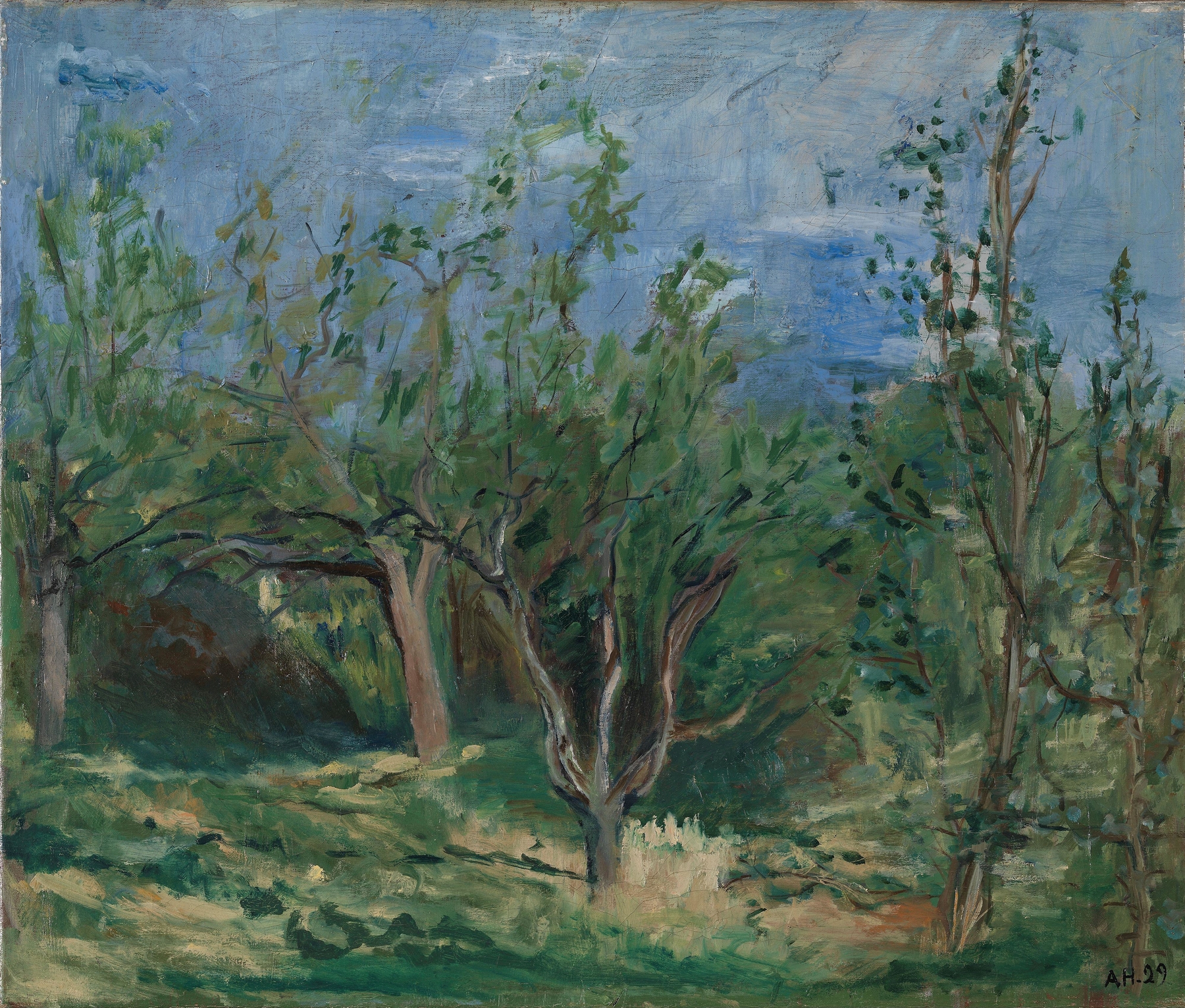 Old Apple Trees by Agnes Mannheimer Heiberg, expressionism, depicting an orchard with gnarled trees