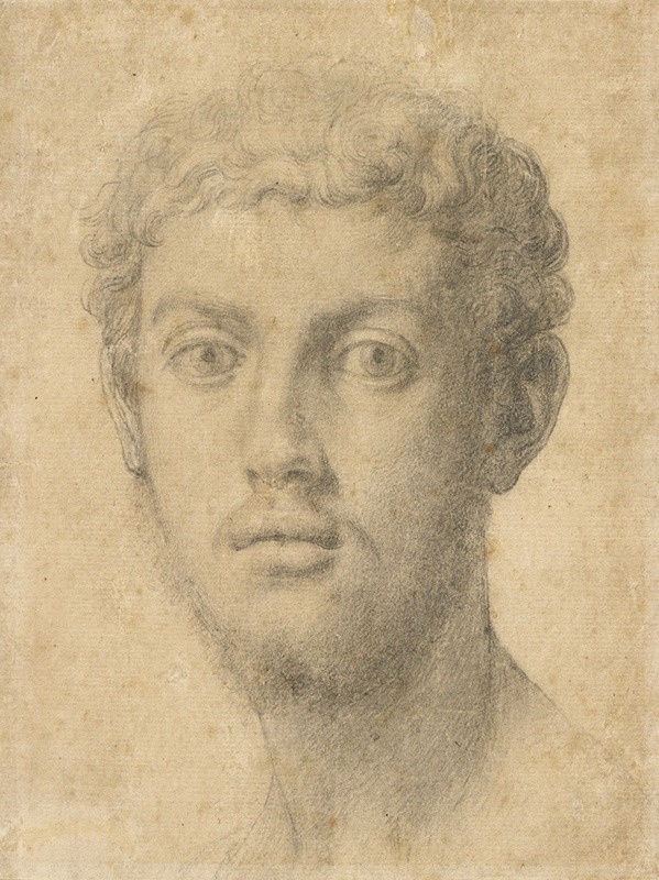 Agnolo Bronzino's 'Head of a Man' showcases a striking portrait style.