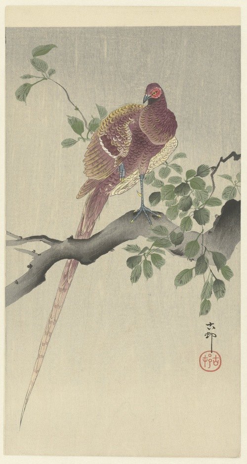 This artwork features a beautifully detailed copper pheasant perched gracefully.