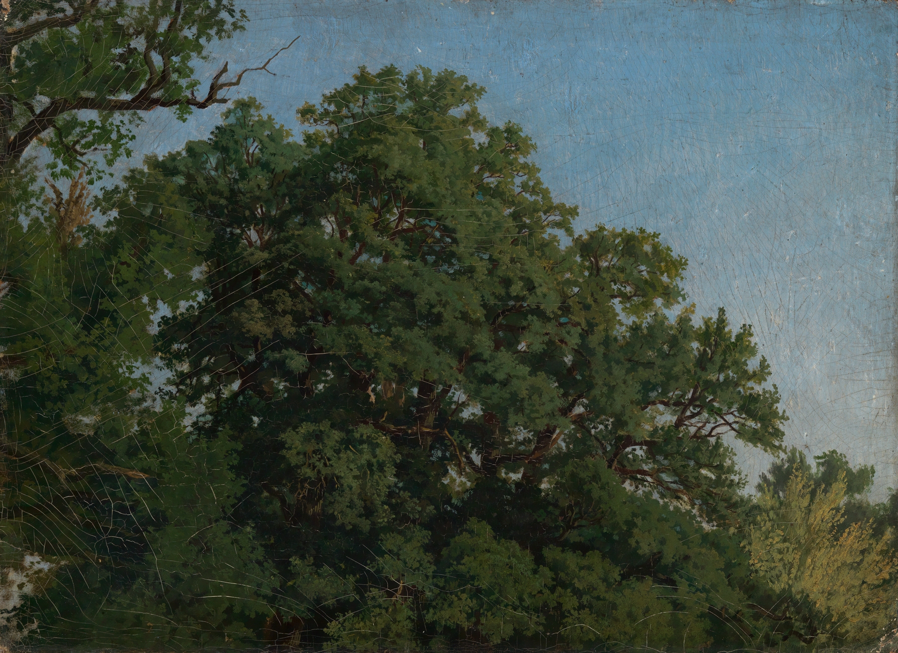 Eichenkronen by Emil Lugo, oil painting depicting oak trees and an ethereal sky