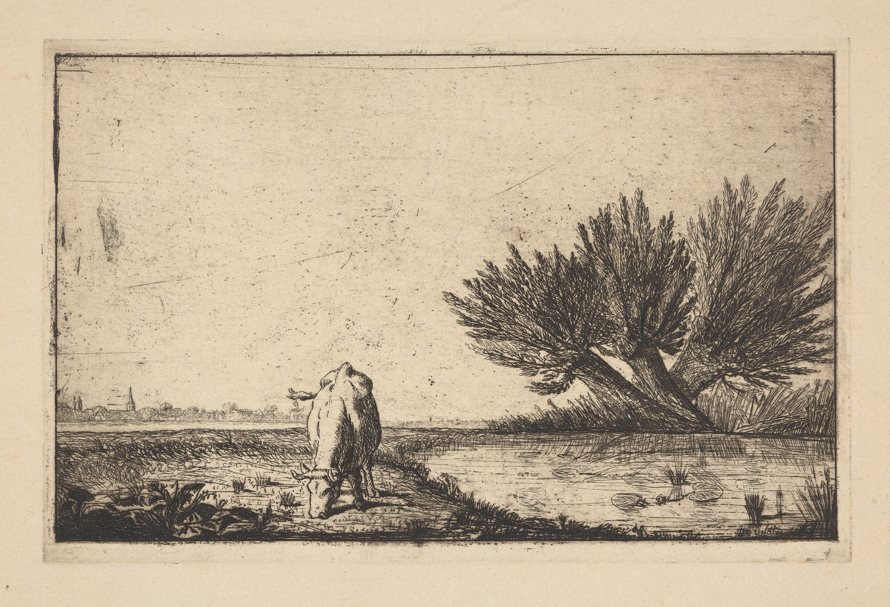 Cow grazing by pond, oil on canvas by Auguste Delâtre