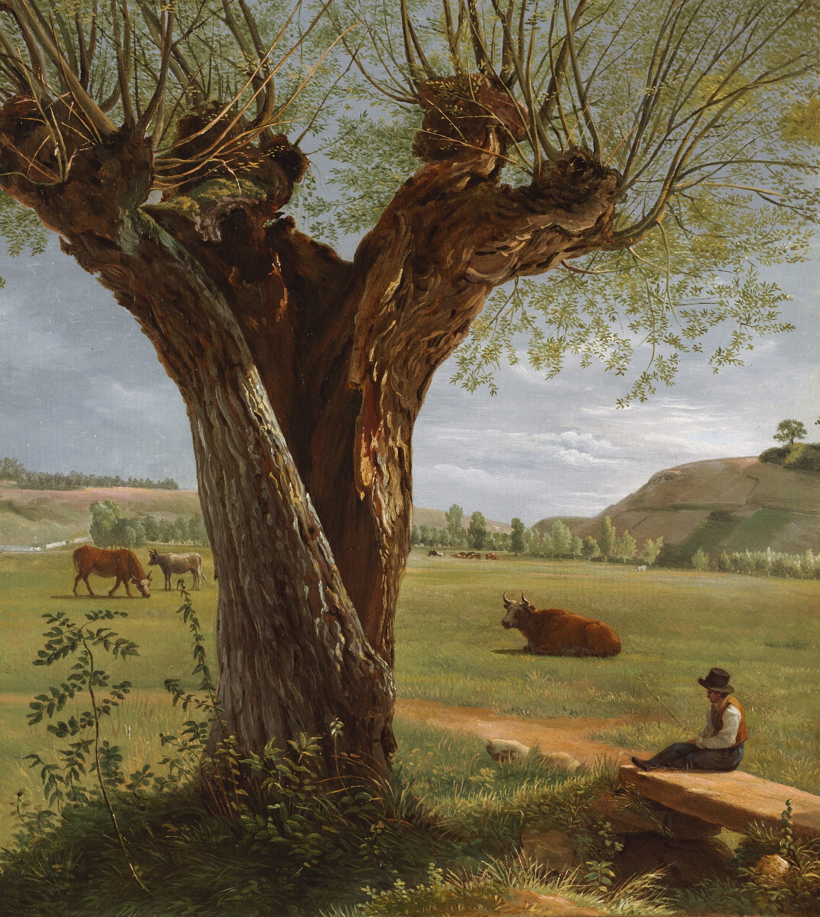Pollard Willow by Pierre Jean Boquet, showcasing a gnarled willow tree in a natural landscape.