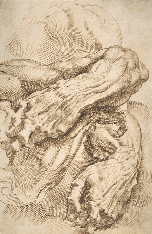 Anatomical Studies by Peter Paul Rubens depicts detailed drawings of forearms in various positions.