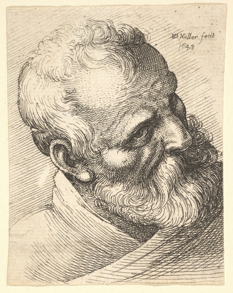 A bearded old man with a tilted head, showcasing intricate details in his expression.