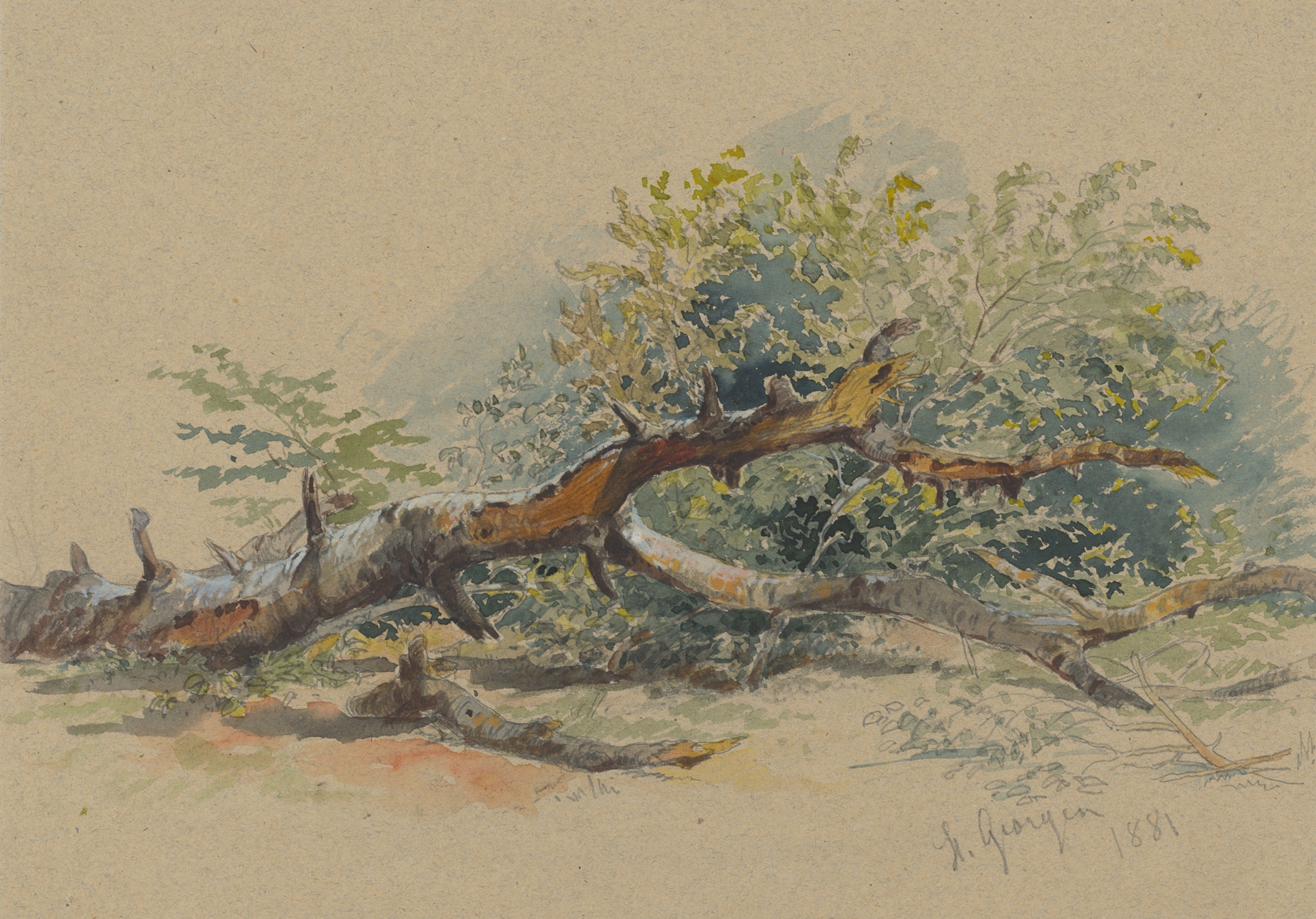 Study of a Cut Down Tree by Friedrich Carl von Scheidlin, oil on canvas depicting a gnarled stump in a landscape.