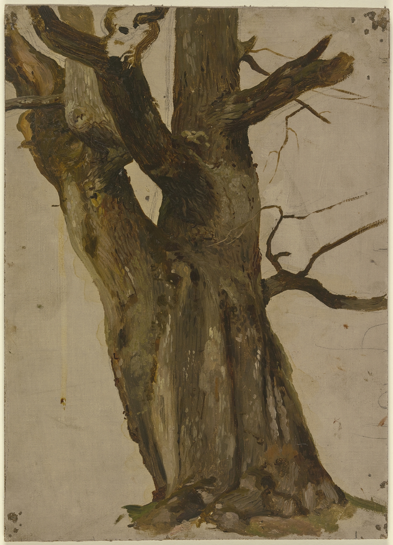 Hollow tree by Jakob Becker, oil on canvas depicting a gnarled tree in sunlight
