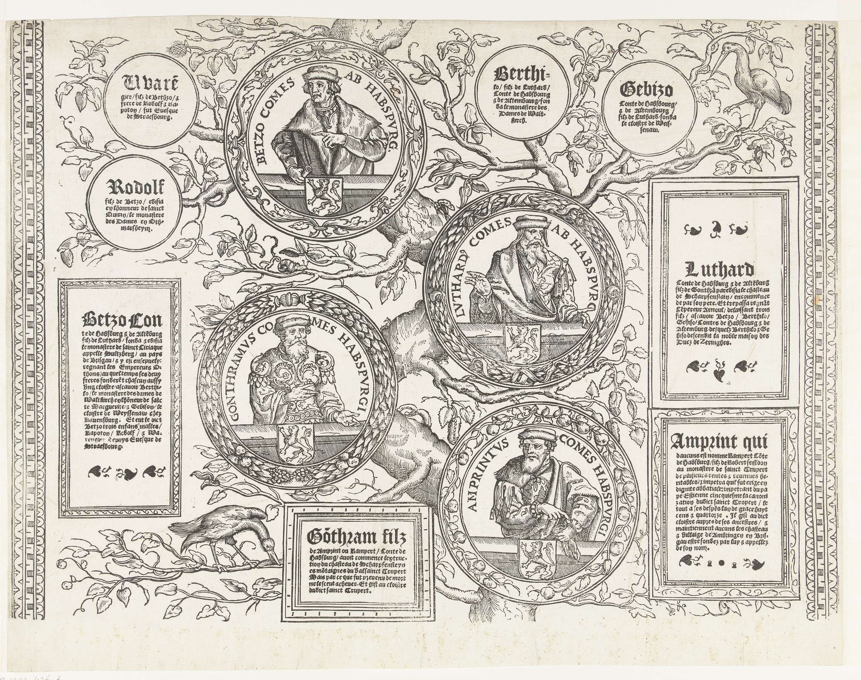 Genealogy chart on paper by Robert Péril, depicting the Habsburg family tree.