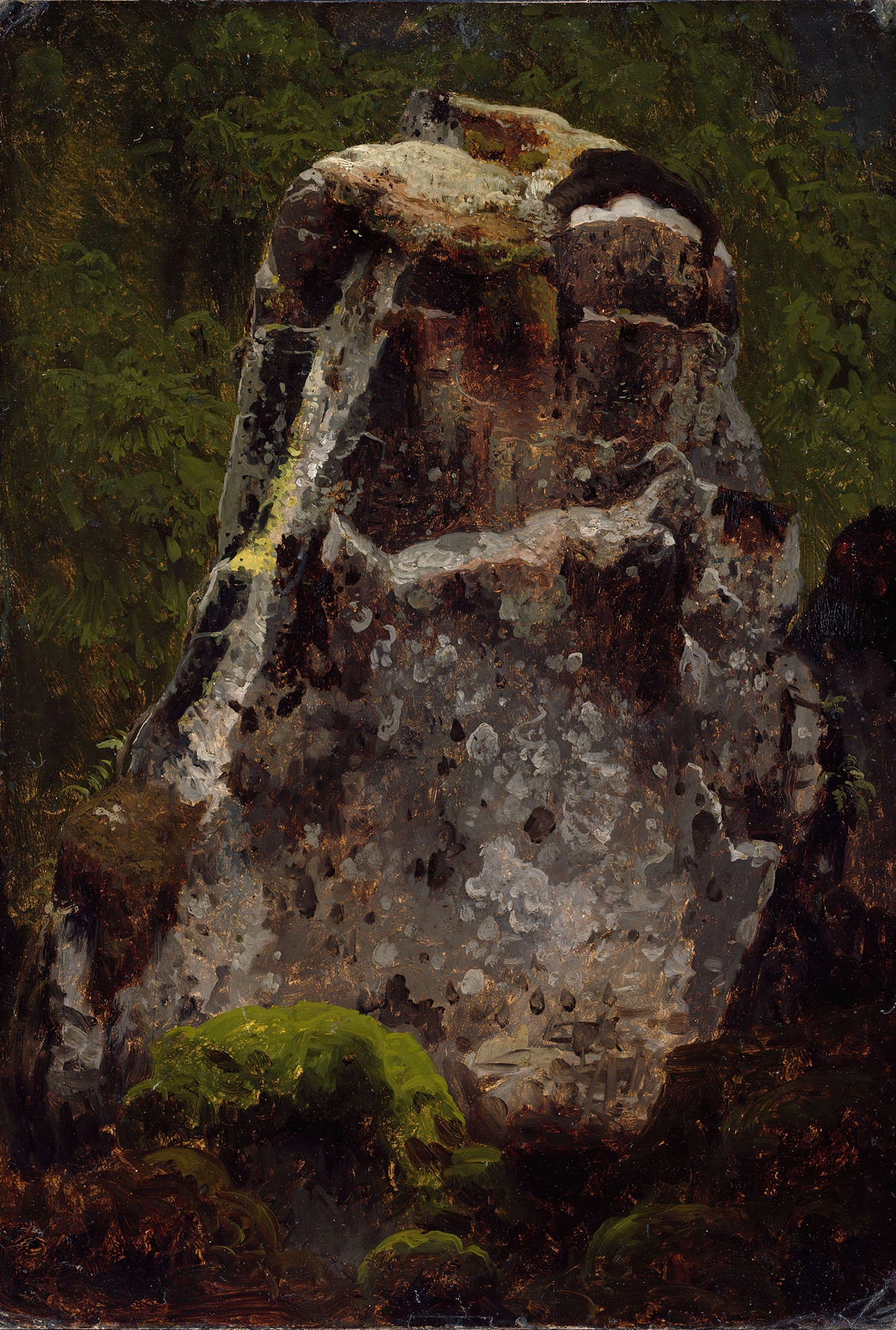 Study of a Rock by August Cappelen, oil painting depicting a textured rock surface.