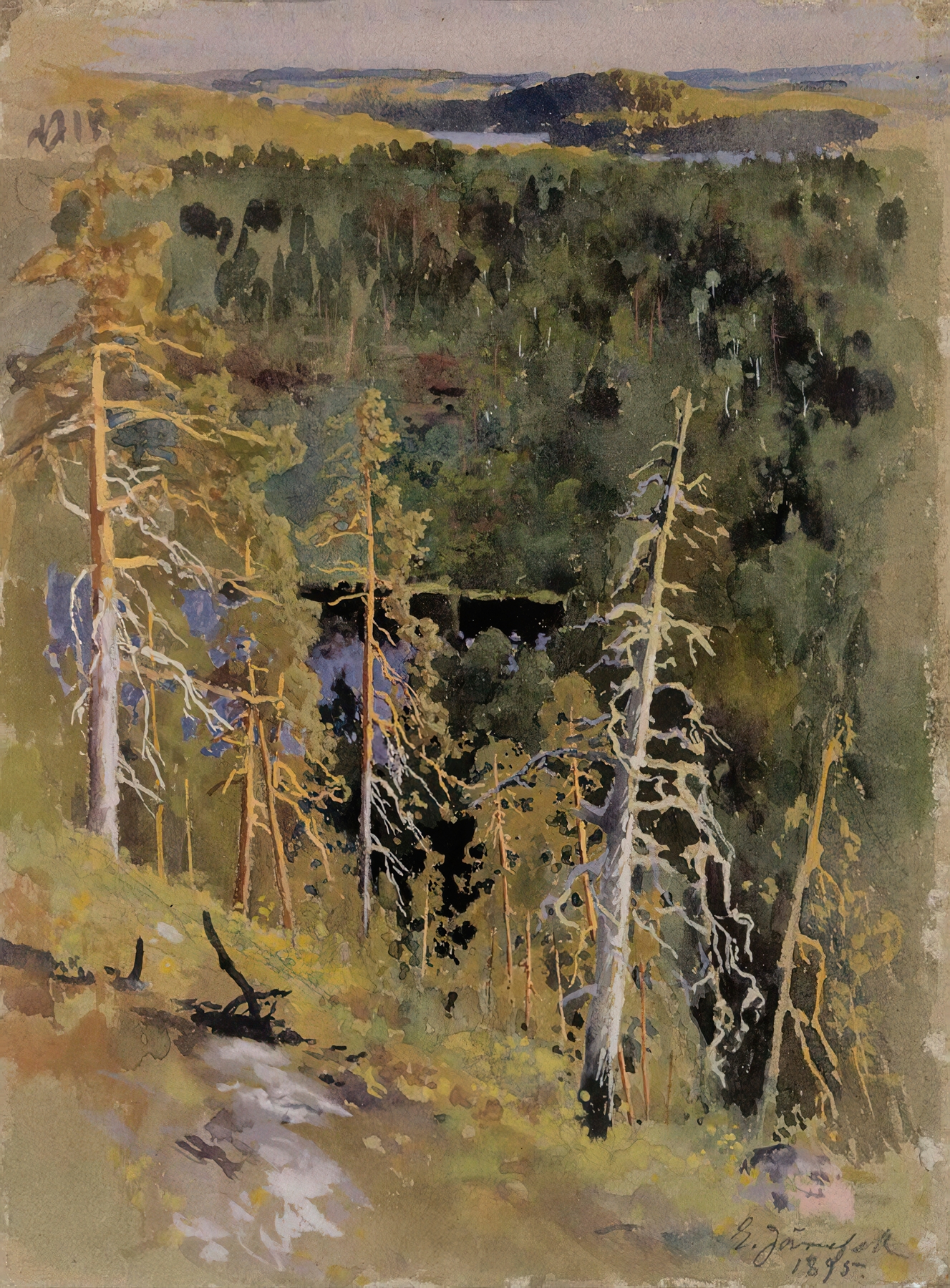 Forest landscape oil painting by Eero Järnefelt featuring dense trees and a natural path