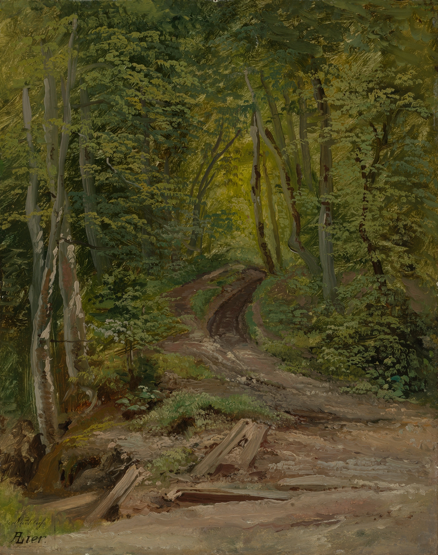 Waldinneres by Adolf Heinrich Lier, oil on canvas depicting a serene forest scene.