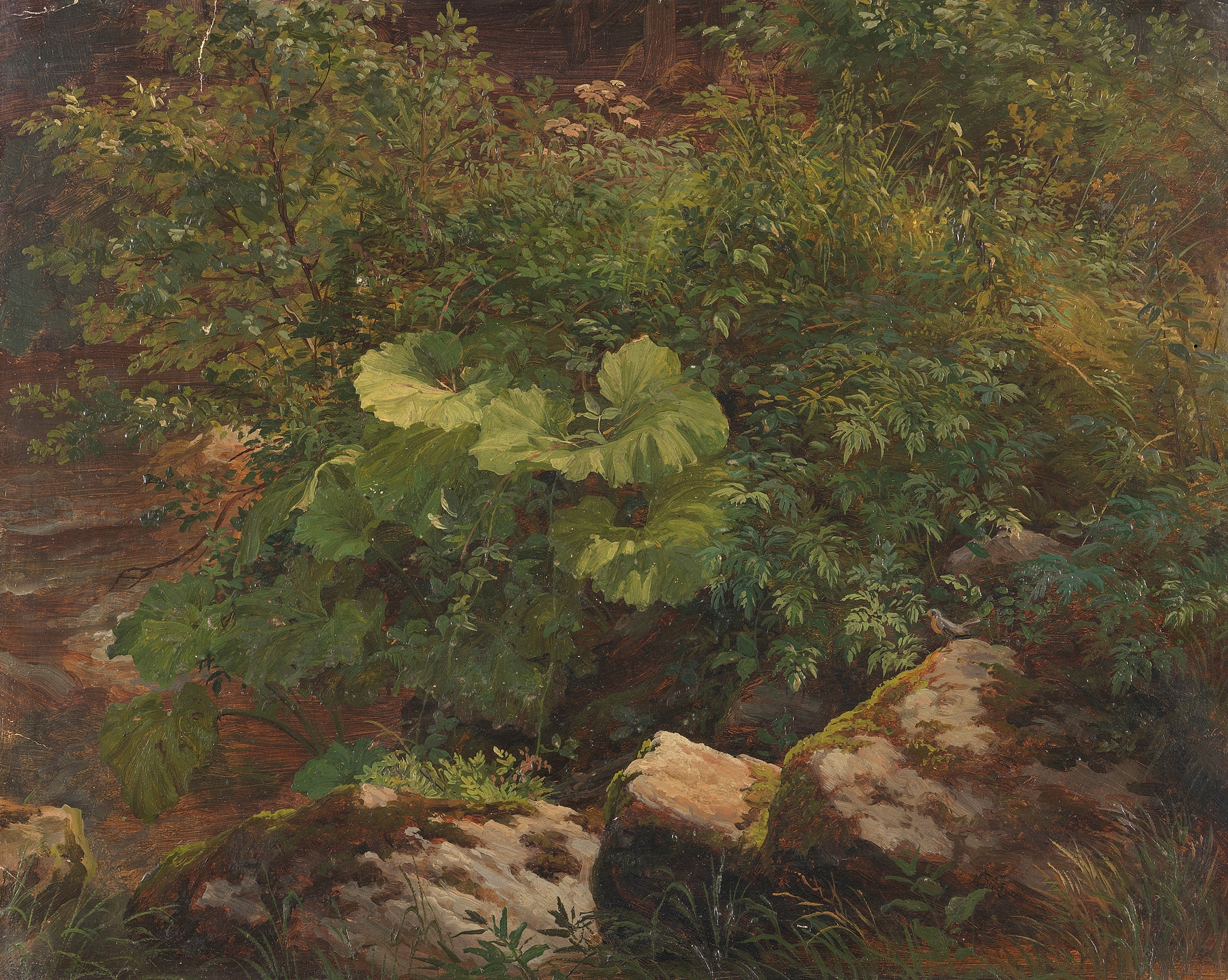 Botanical study of flowers and leaves by Gustav Friedrich Papperitz, oil painting