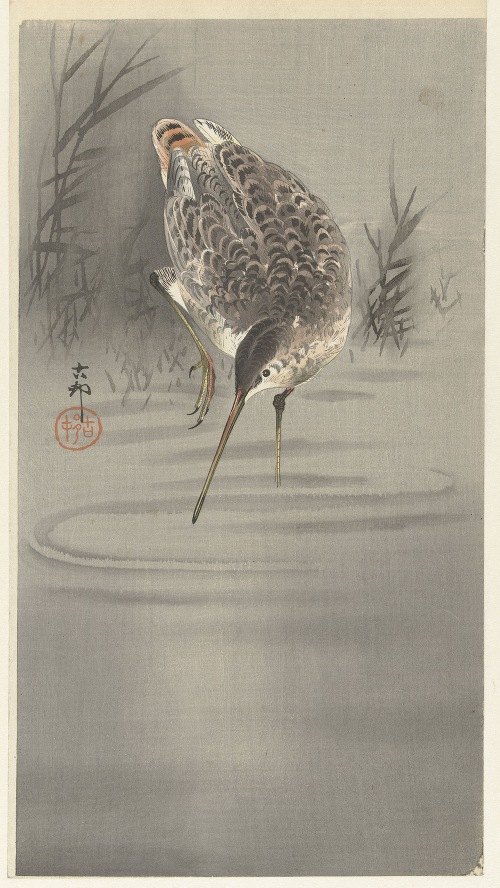 A serene depiction of a water scene featuring a snip in water.