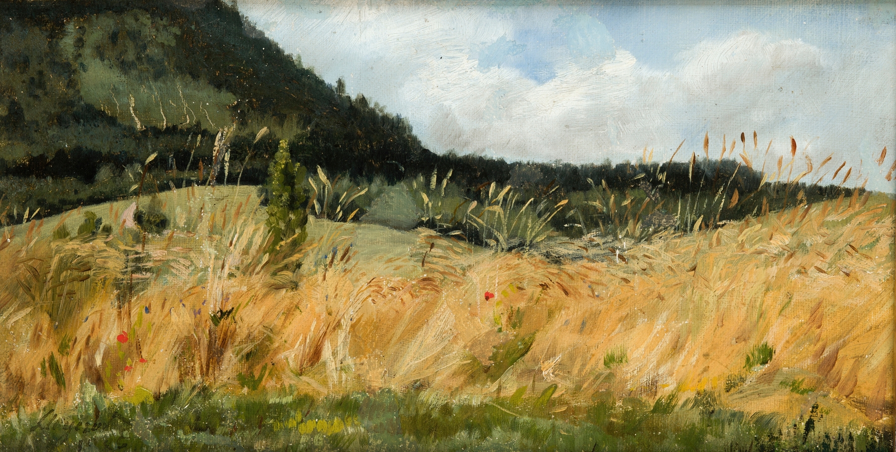 Corn-Field by Leon Wyczółkowski, oil on canvas depicting a golden cornfield.