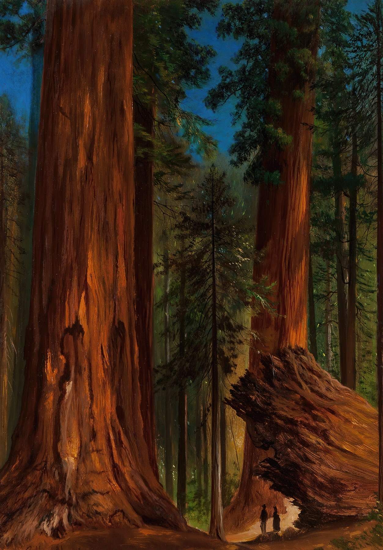 Redwood forest scene by Gilbert Davis Munger, oil painting capturing sunlight through trees.
