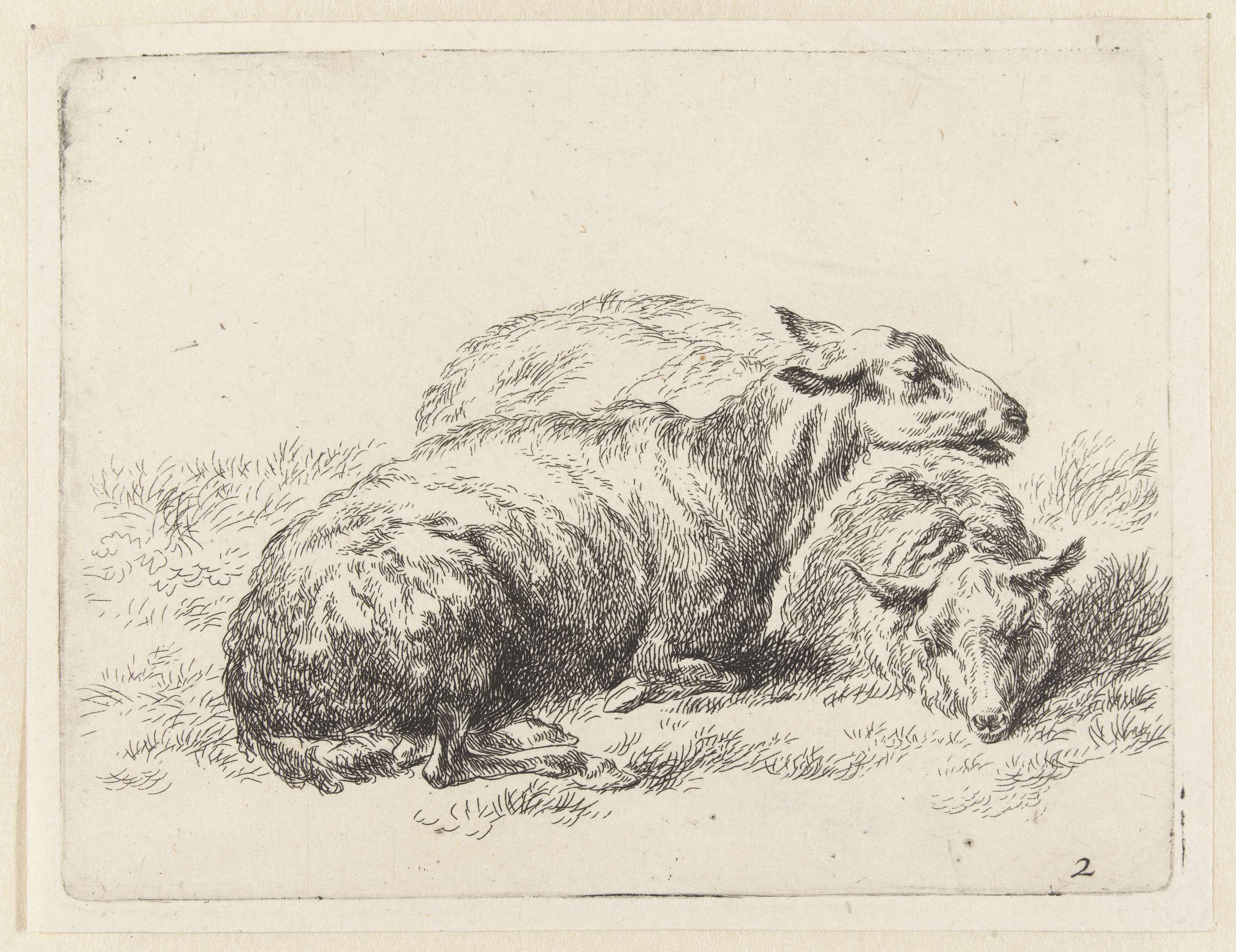 Twee liggende schapen, by Nicolaes Pietersz Berchem, public domain