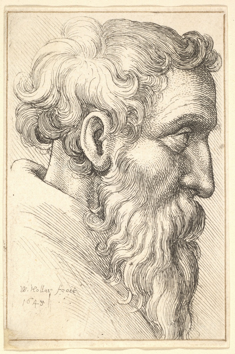A bearded old man in profile, depicted with intricate detail.