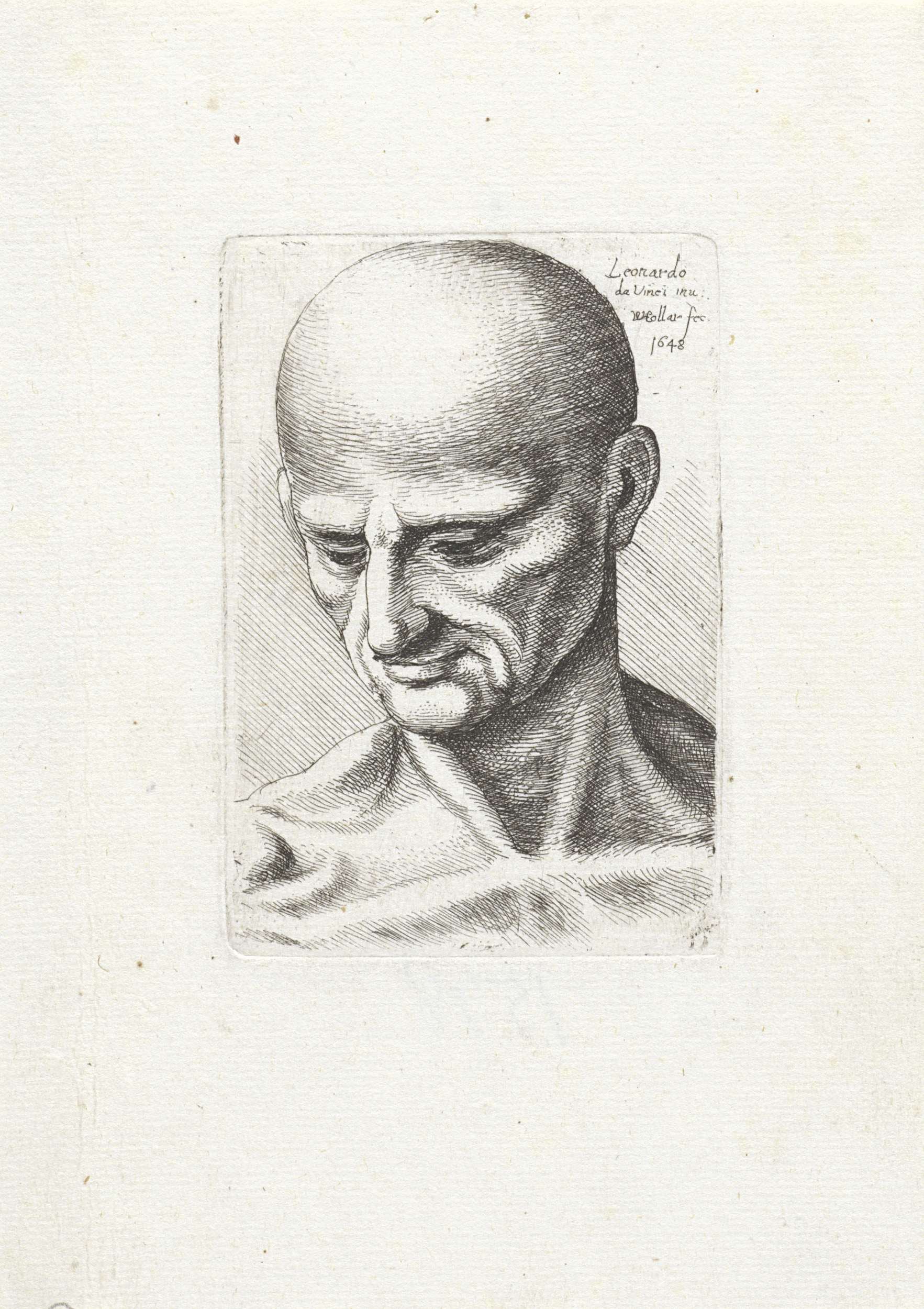 Etching by Wenceslaus Hollar depicting the head and neck of a bald man