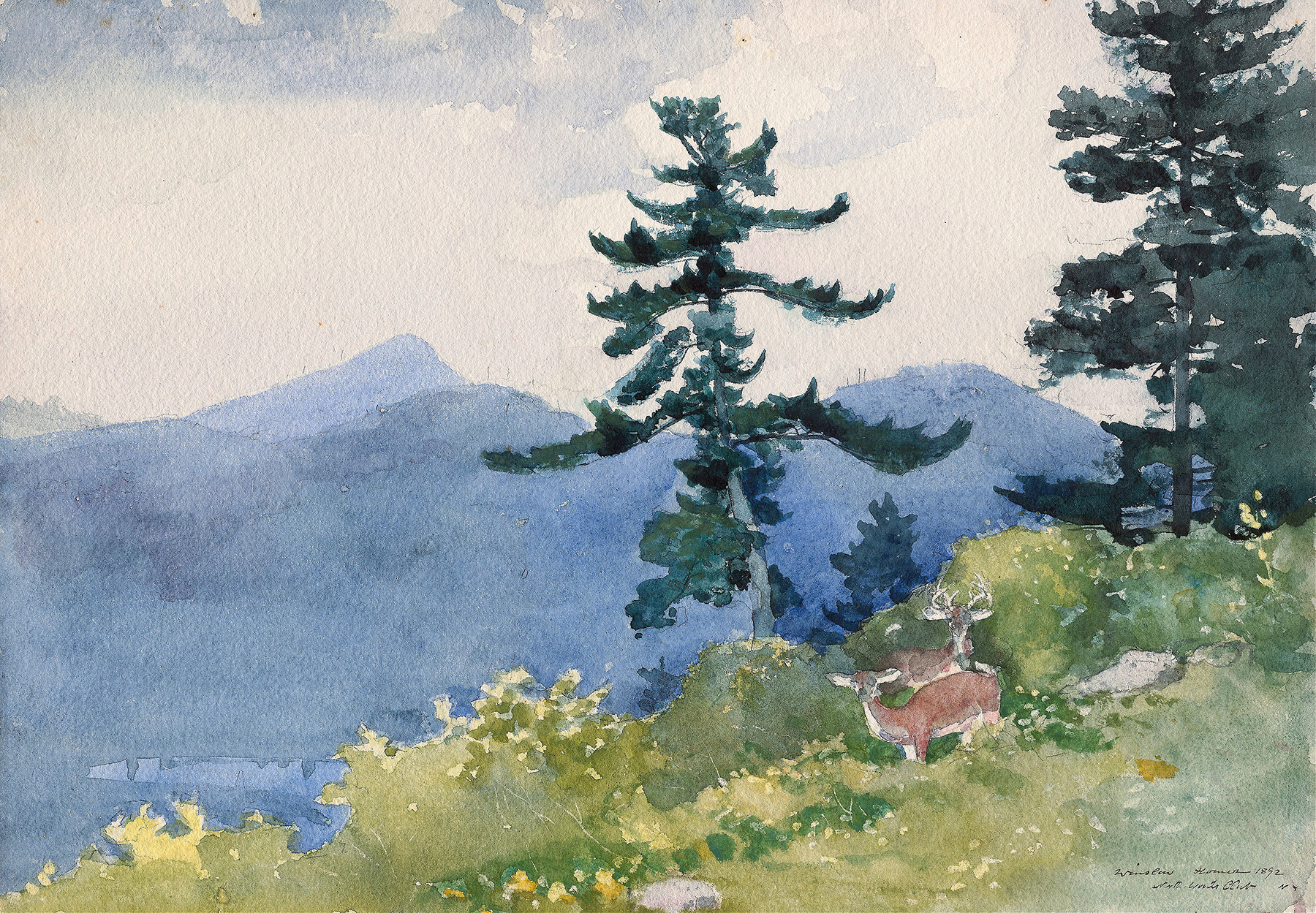 North Woods Club, Adirondacks (The Interrupted Tete-a-Tete), by Winslow Homer, public domain