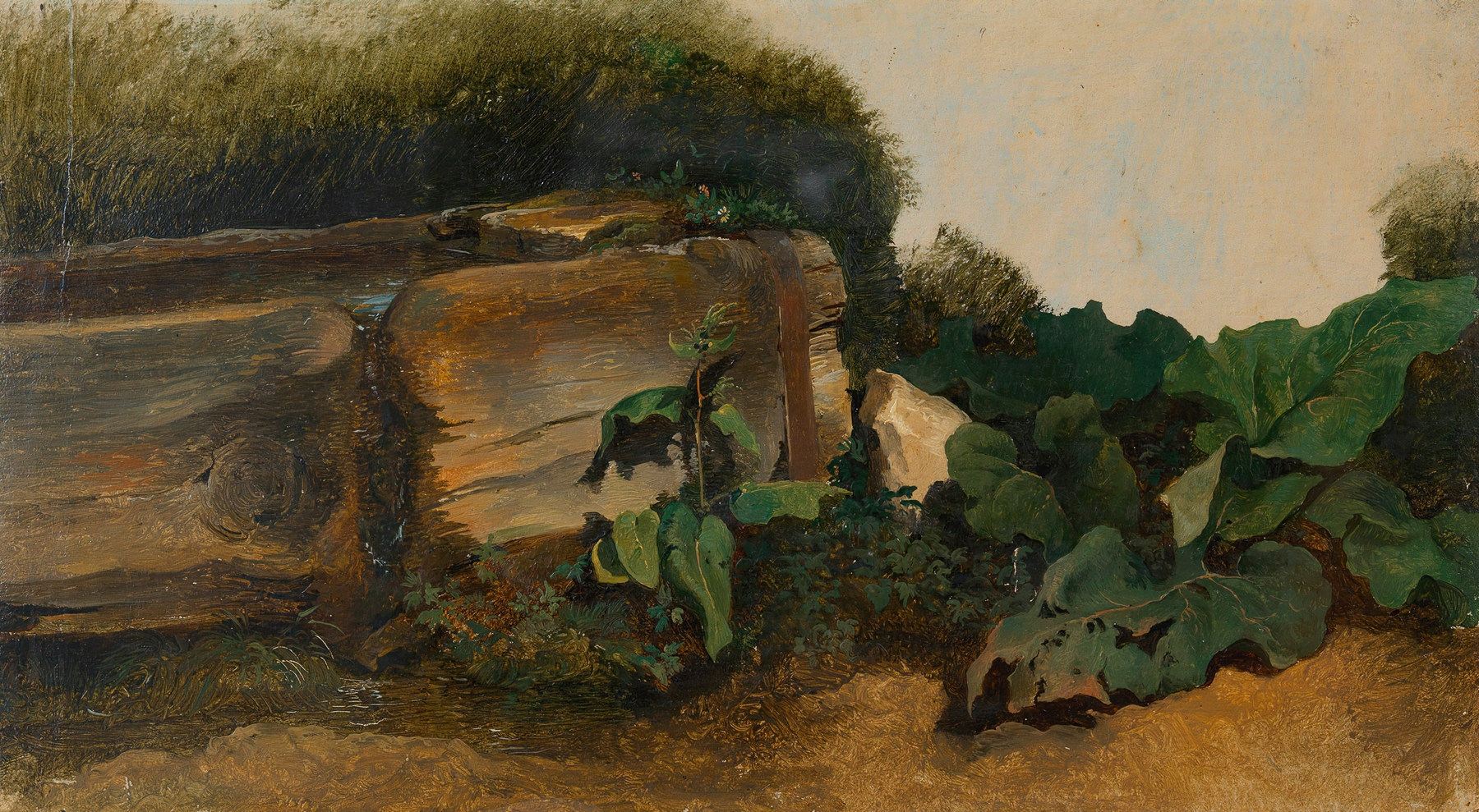 Blattpflanzen bei einem Brunnentrog, by Friedrich August Matthias Gauermann, public domain