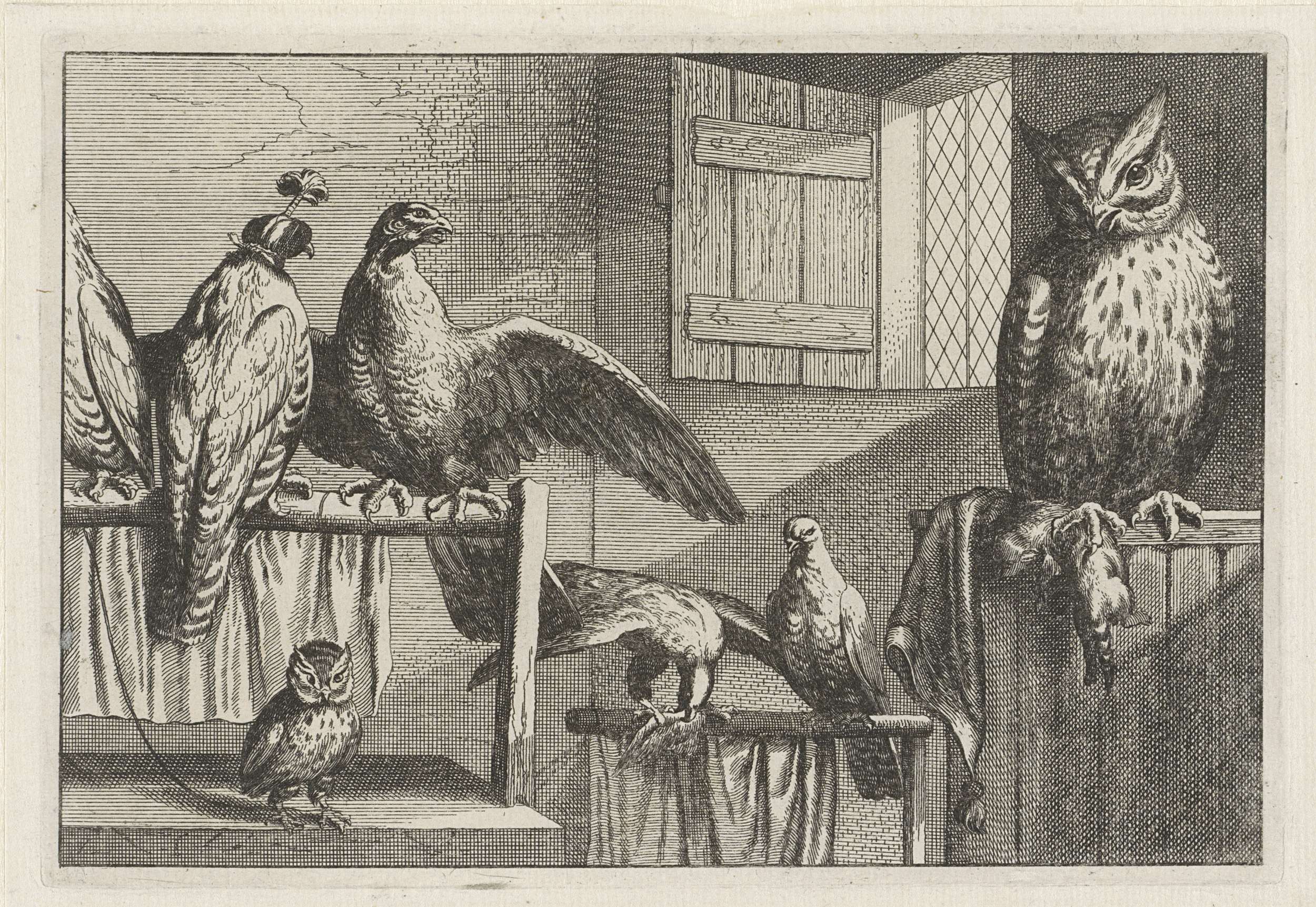 Etching by Wenceslaus Hollar depicting owls and hawks in a night scene