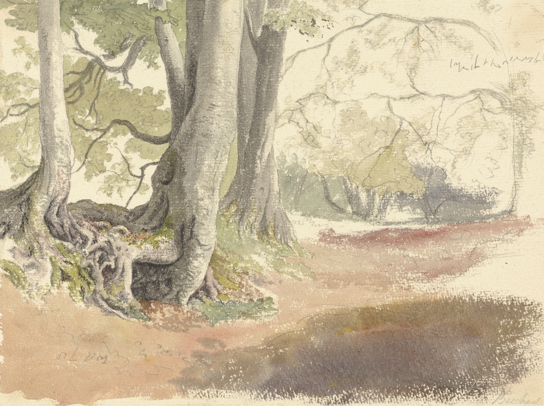 Landscape featuring beech trees with dappled light, oil painting by Robert Hills