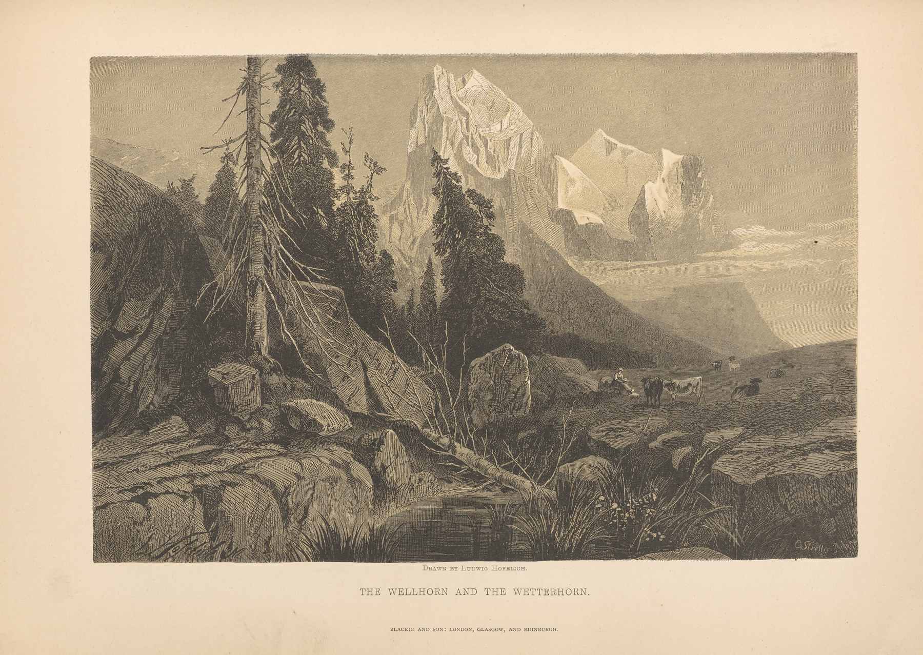 Ludwig‎ ‎Hofelich – The‎ ‎Wellhorn‎ ‎and‎ ‎the‎ ‎Wetterhorn, by Theodor Gsell Fels, public domain