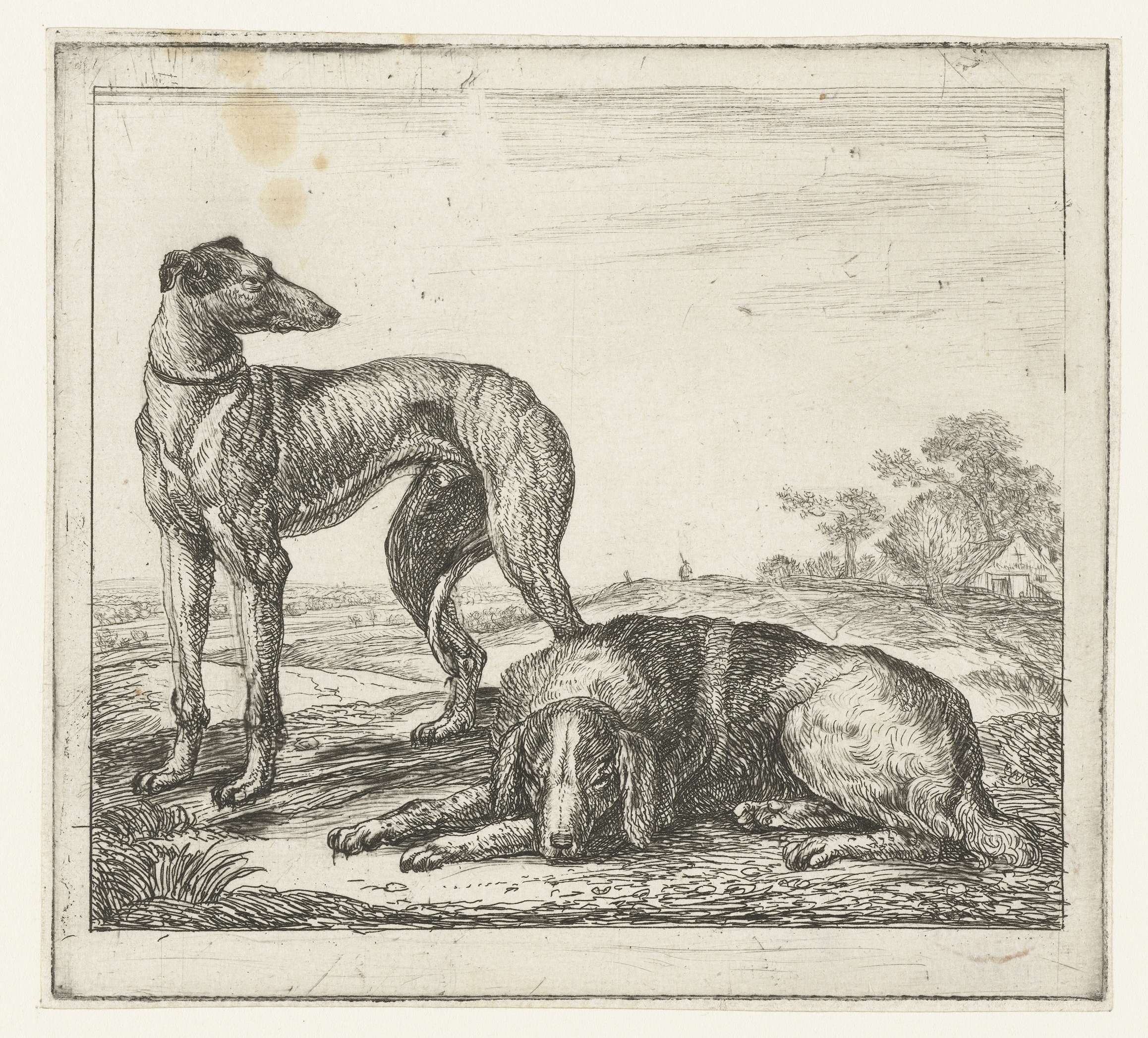Hazewindhond en jachthond, by Simon de Vlieger, public domain