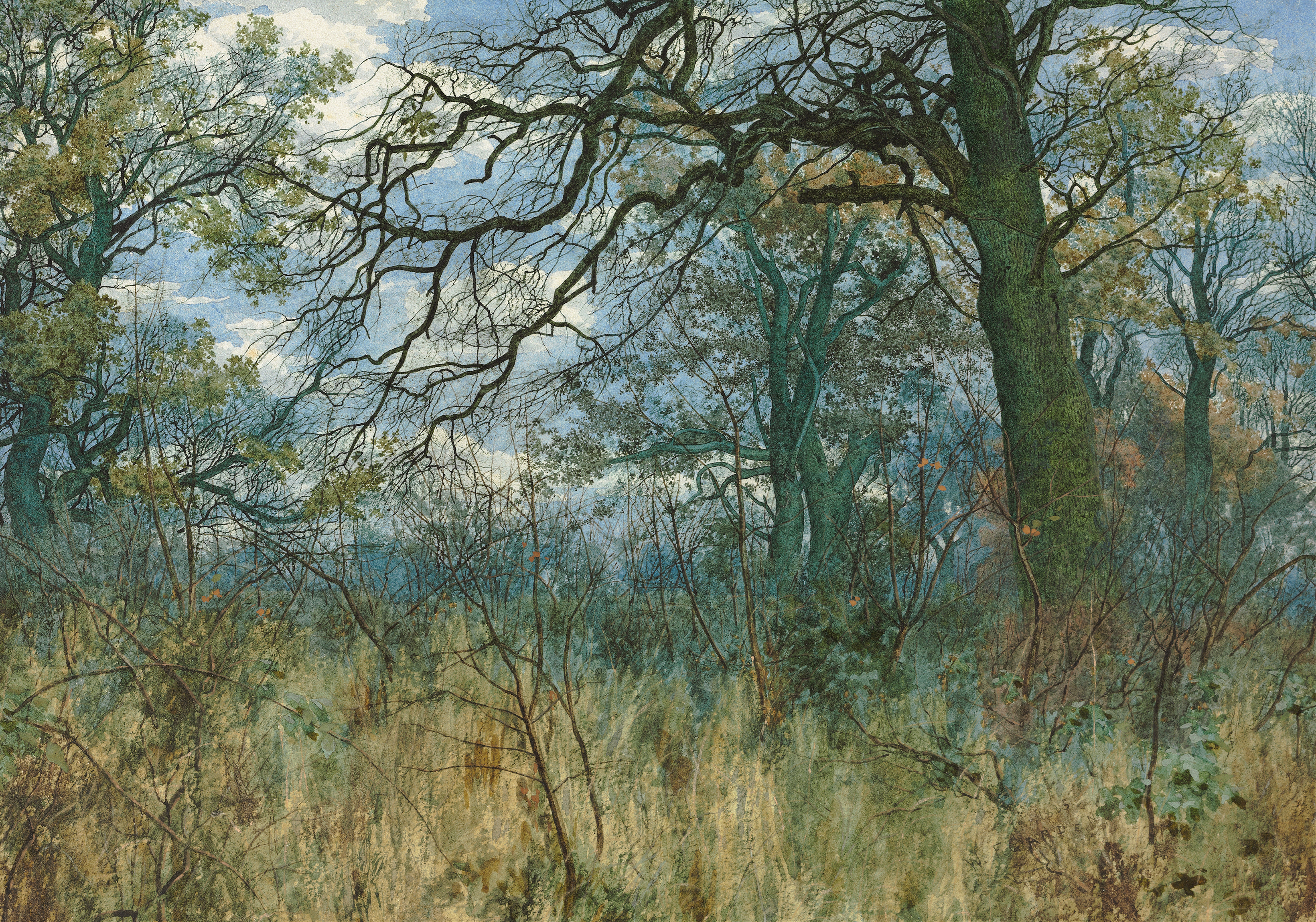 Landscape of trees and undergrowth by William Fraser Garden, oil painting
