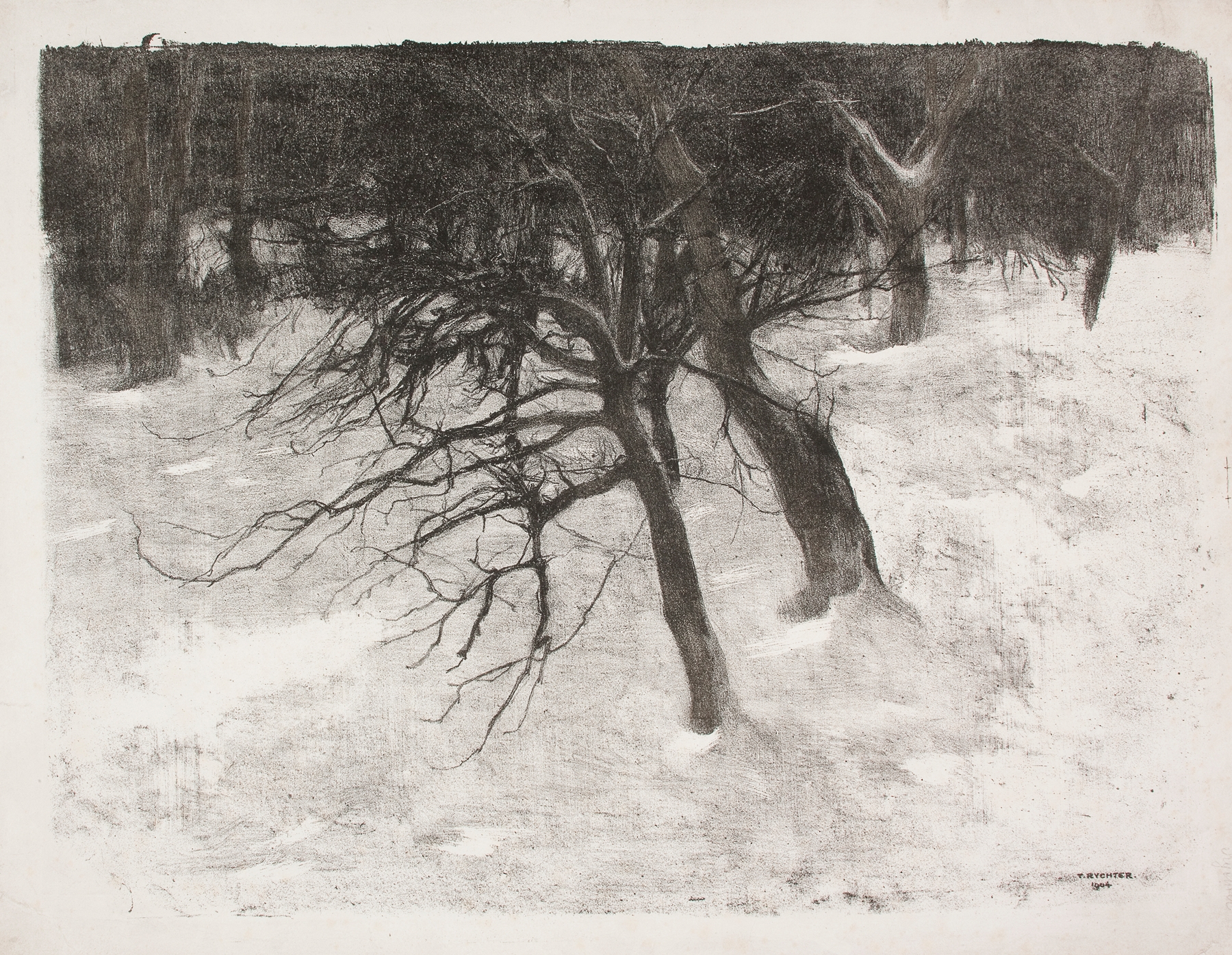 Winter landscape with snow-covered trees, oil painting by Tadeusz Rychter