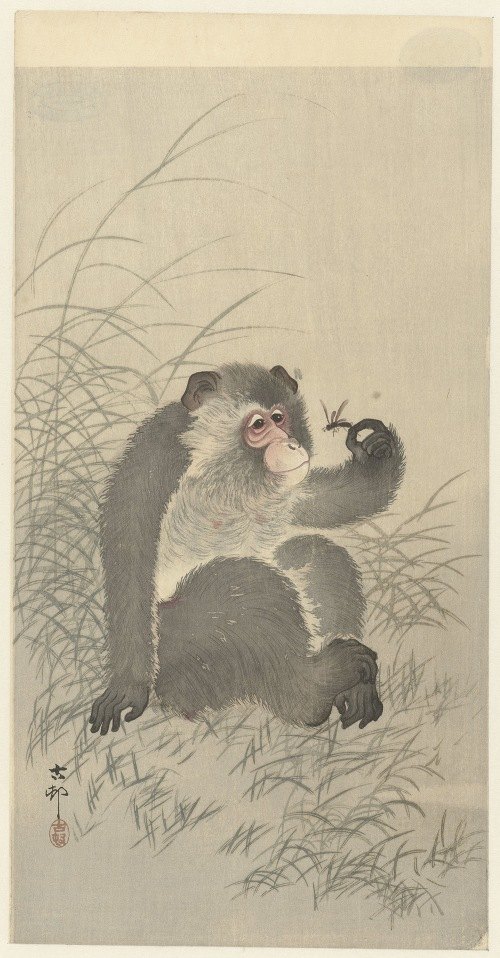 A captivating depiction of a monkey interacting with an insect.