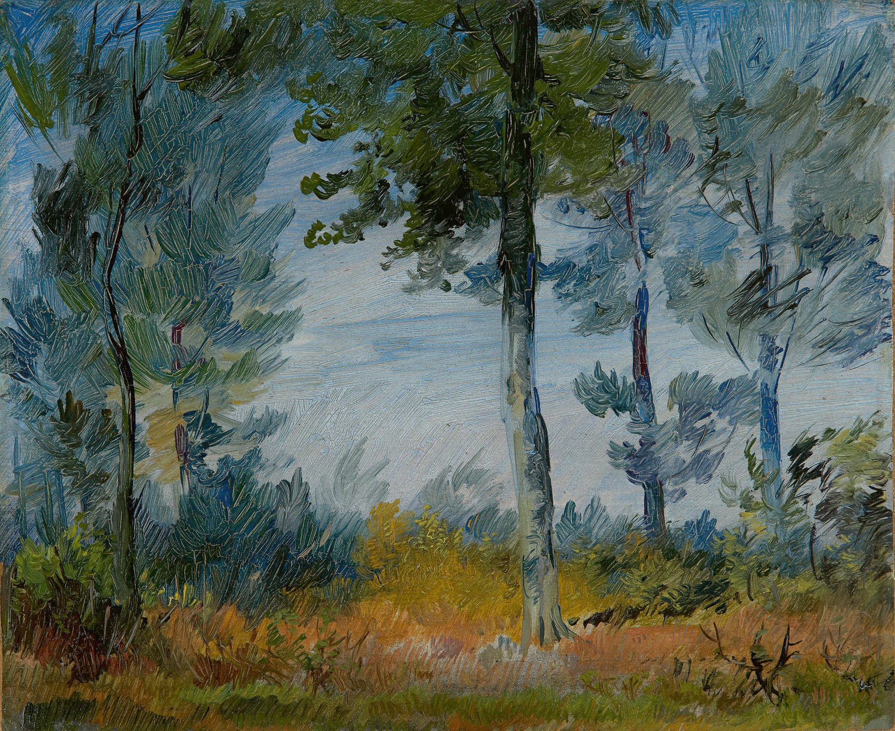 Waldrand by Wilhelm Busch, ink on paper depicting a serene forest scene with dappled sunlight.