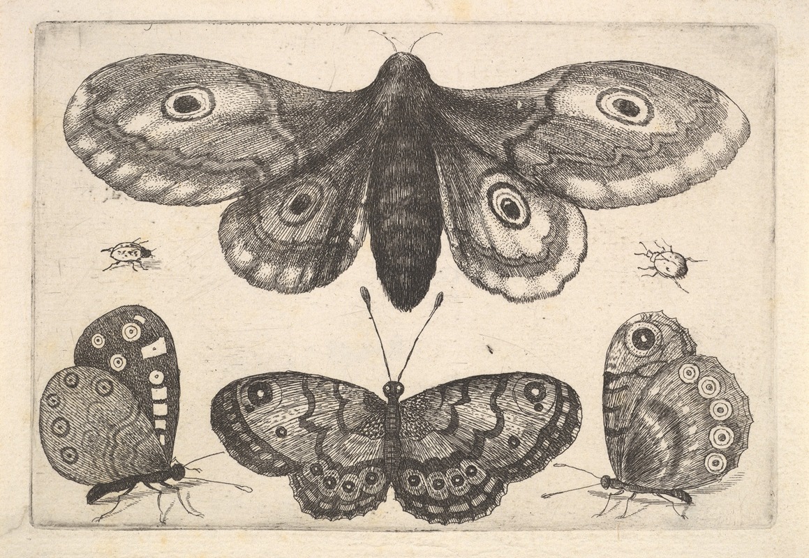 A still life composition featuring a moth, three butterflies, and two beetles.