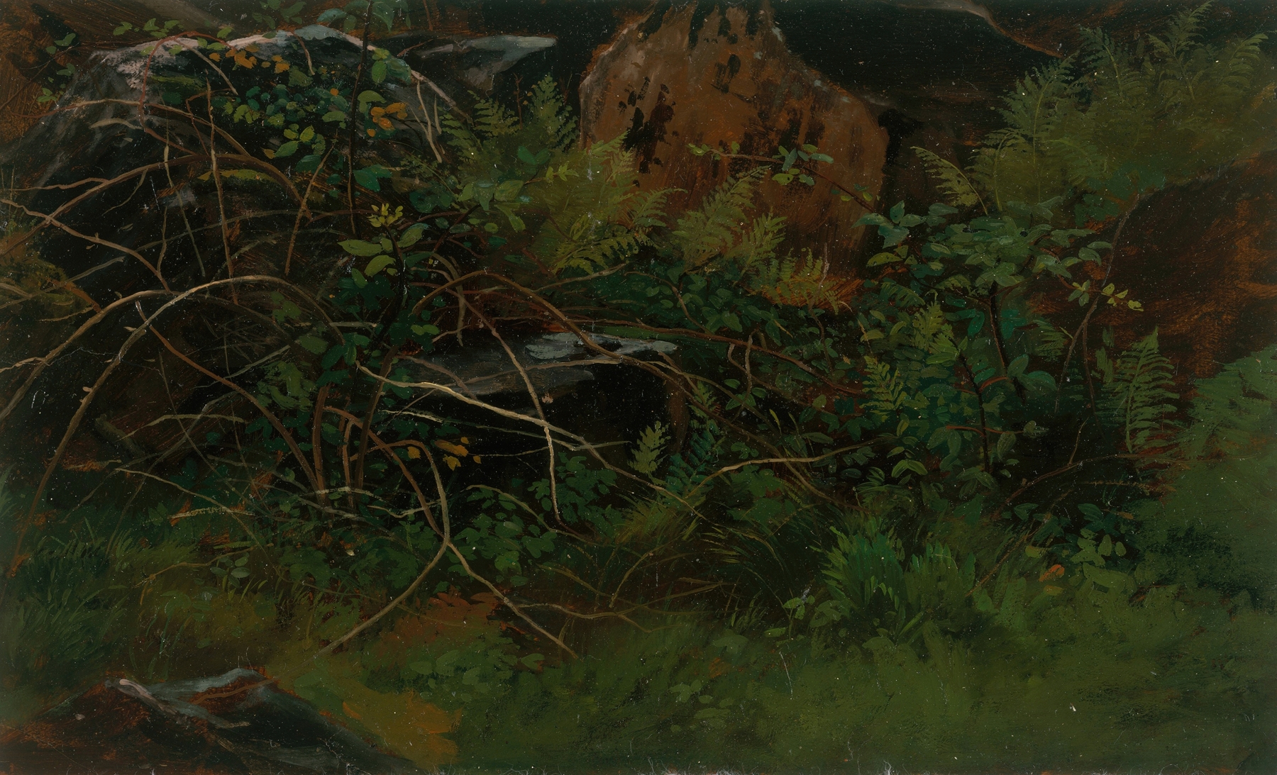 Study from Nature by William Stanley Haseltine, oil on canvas depicting a serene forest scene with dappled light.