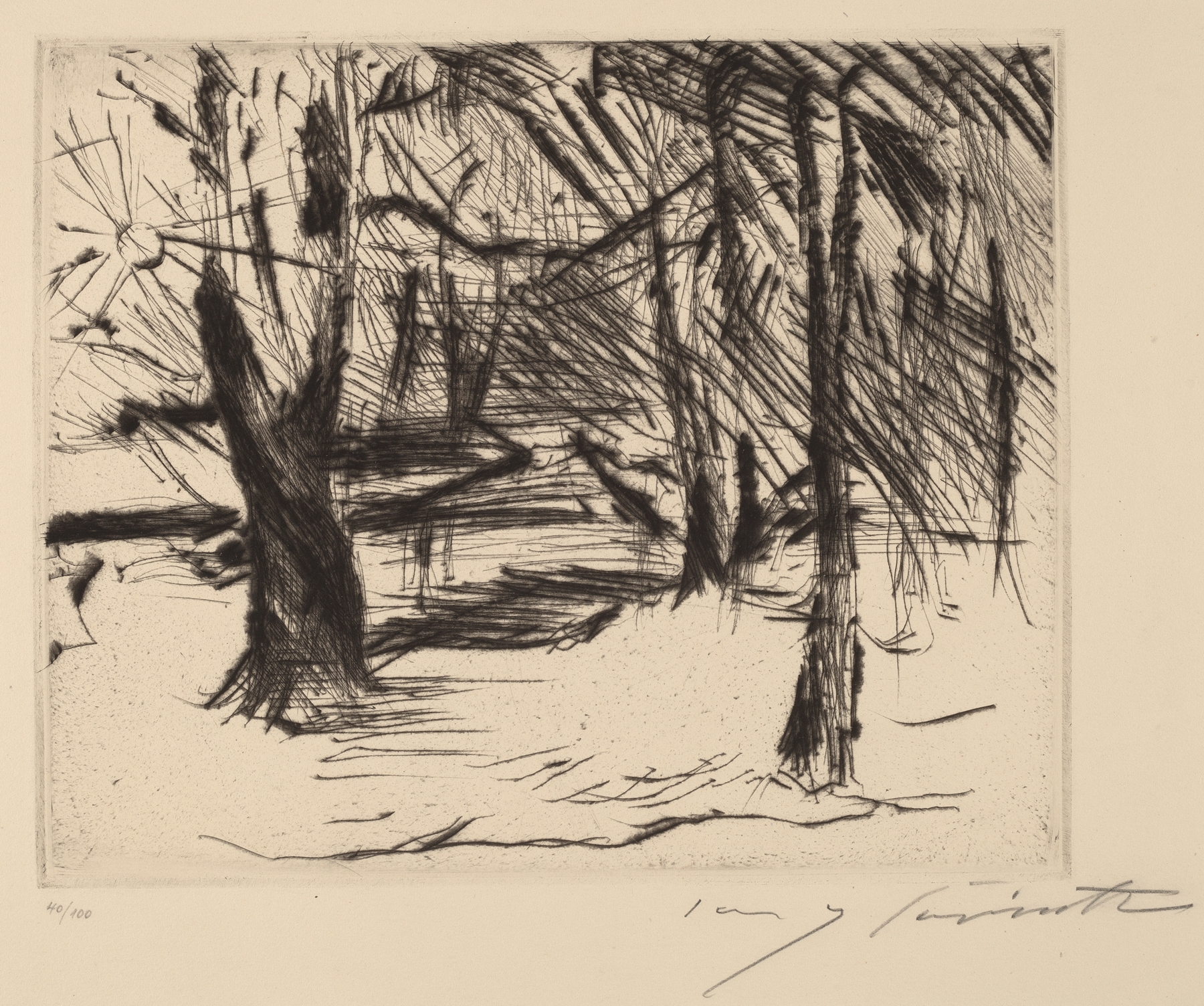 Trees with the Sun by Lovis Corinth, oil on canvas, depicting a winter landscape with sunlight.