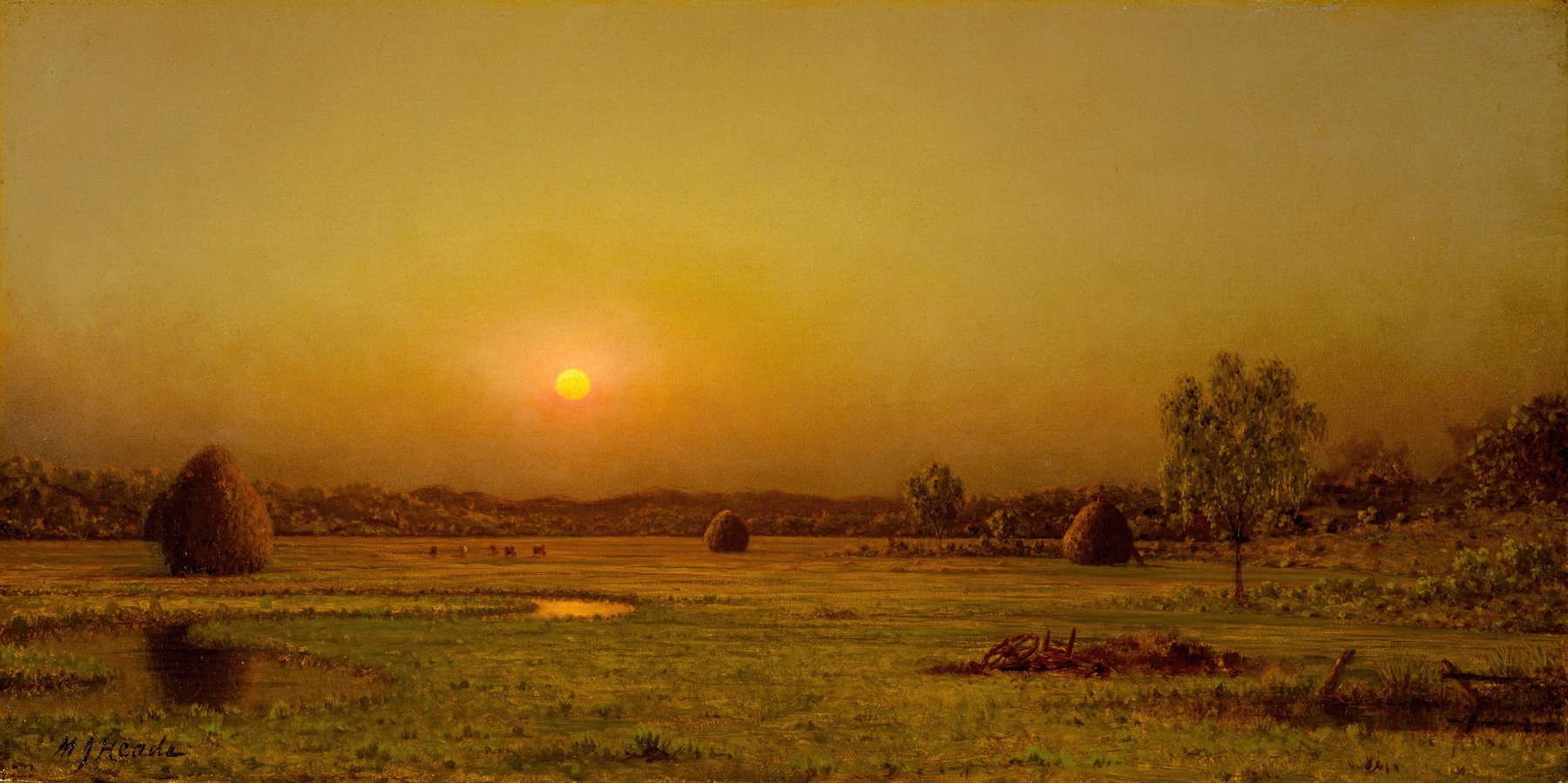 Martin Johnson Heade