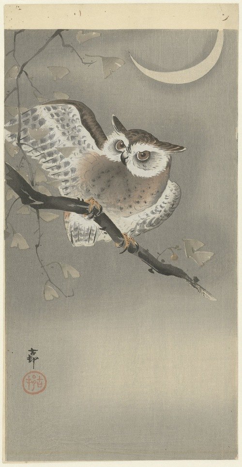 A captivating depiction of a long-eared owl nestled among ginkgo leaves.