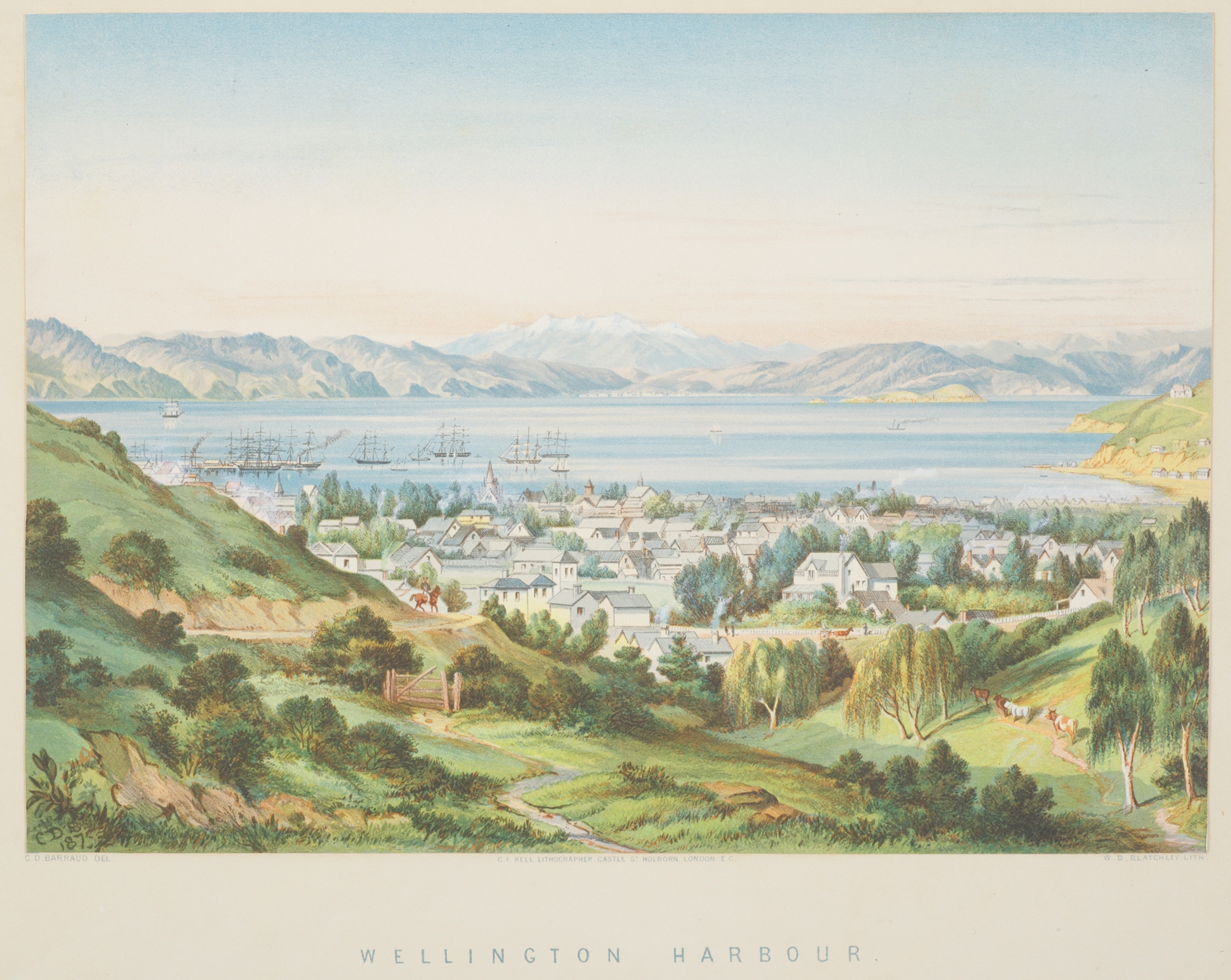Wellington Harbour by Charles Decimus Barraud, realism, depicting a tranquil marine landscape.