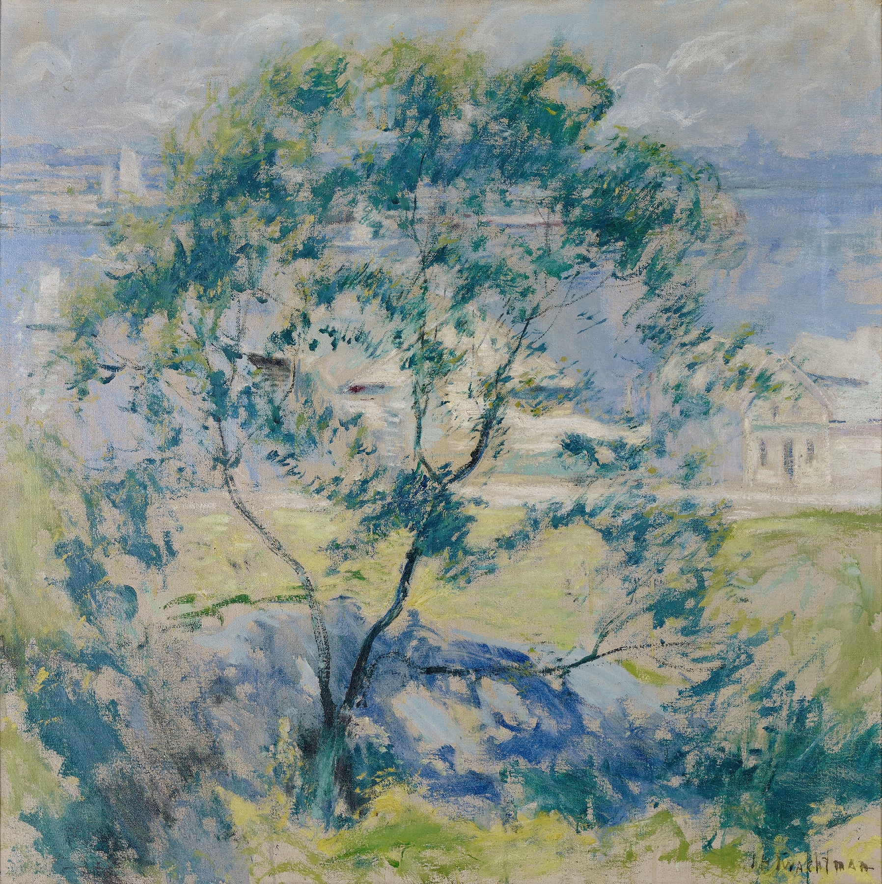 The Wild Cherry Tree, by John Henry Twachtman, public domain
