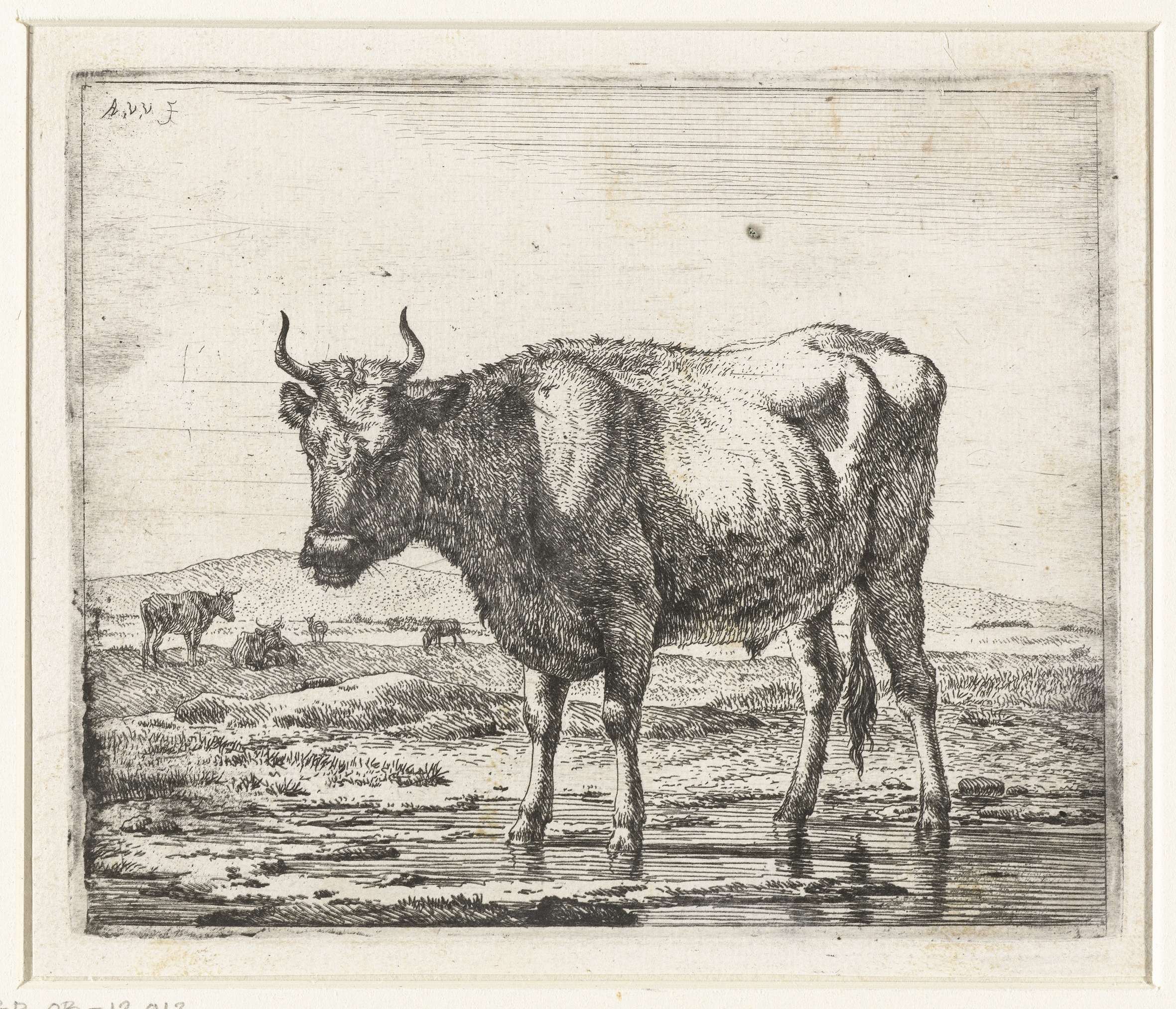 Stier staand in ondiep water, by Adriaen van de Velde, public domain