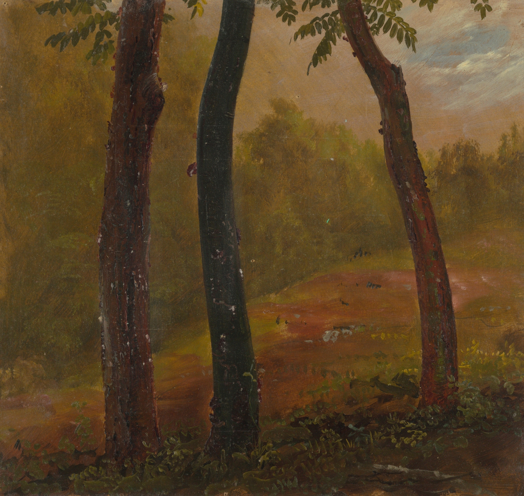 Woodland Scene, Jamaica by Frederic Edwin Church, oil painting depicting a lush forest with sunlight.