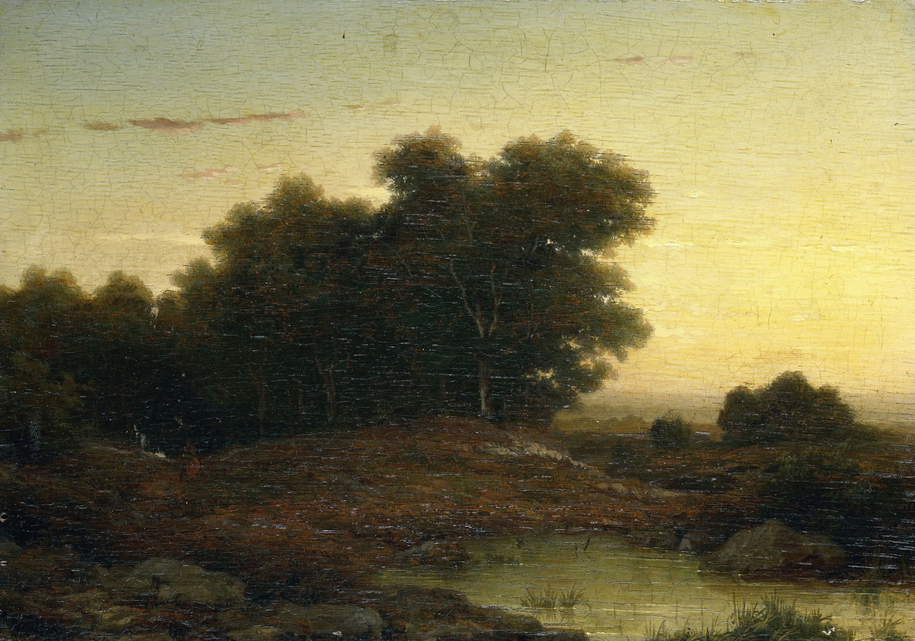 View in the Woods at Sunset, oil painting by Louwrens Hanedoes, depicting a forest at sunset.
